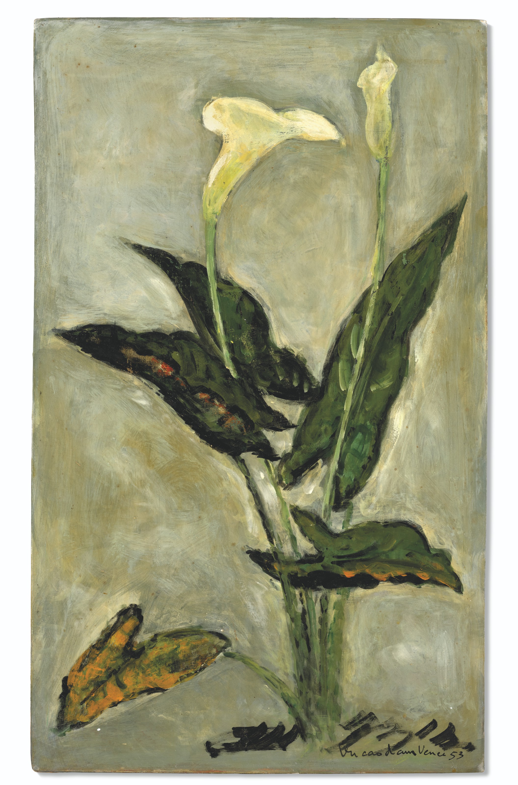 ARUMS