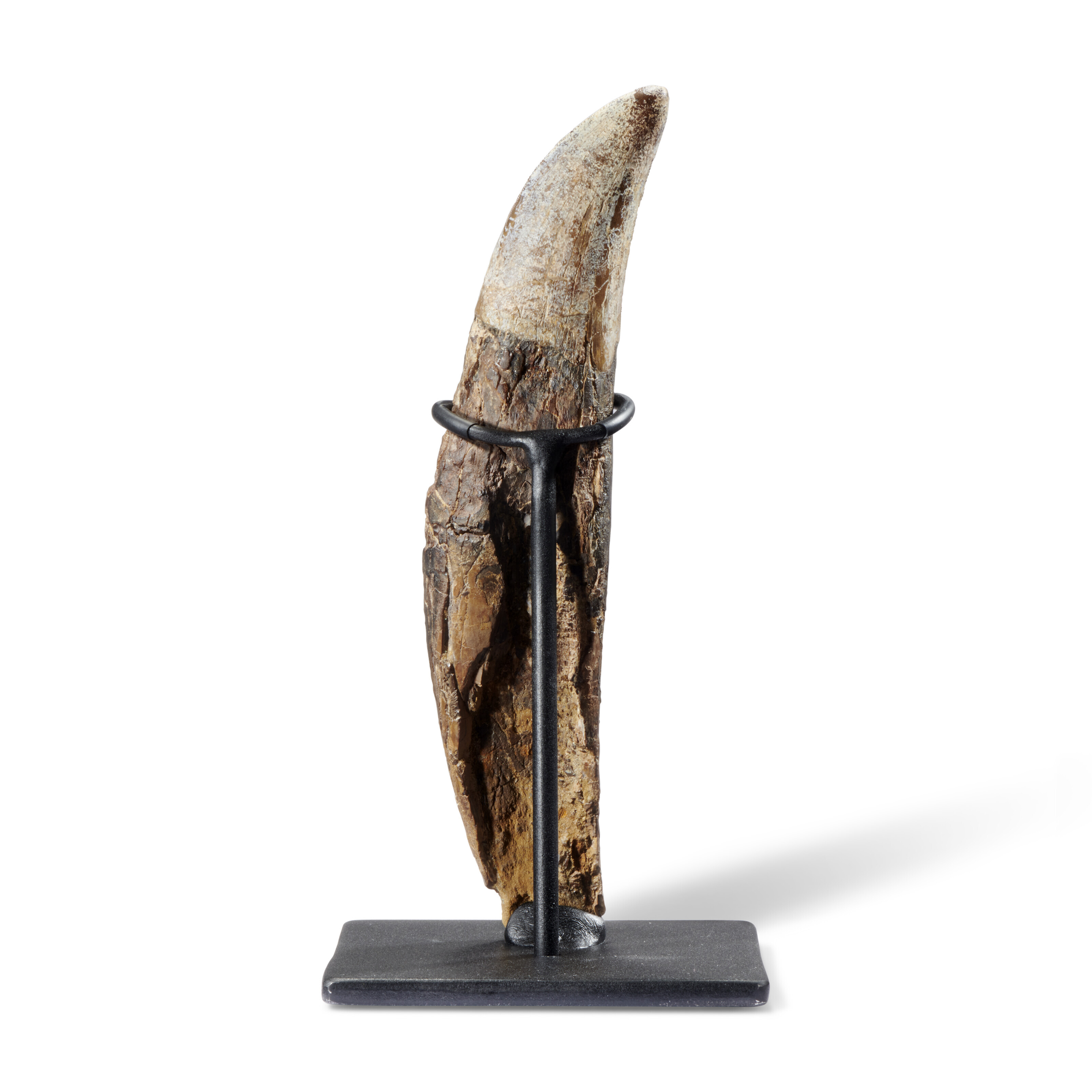 2022_CKS_20863_0036_003(