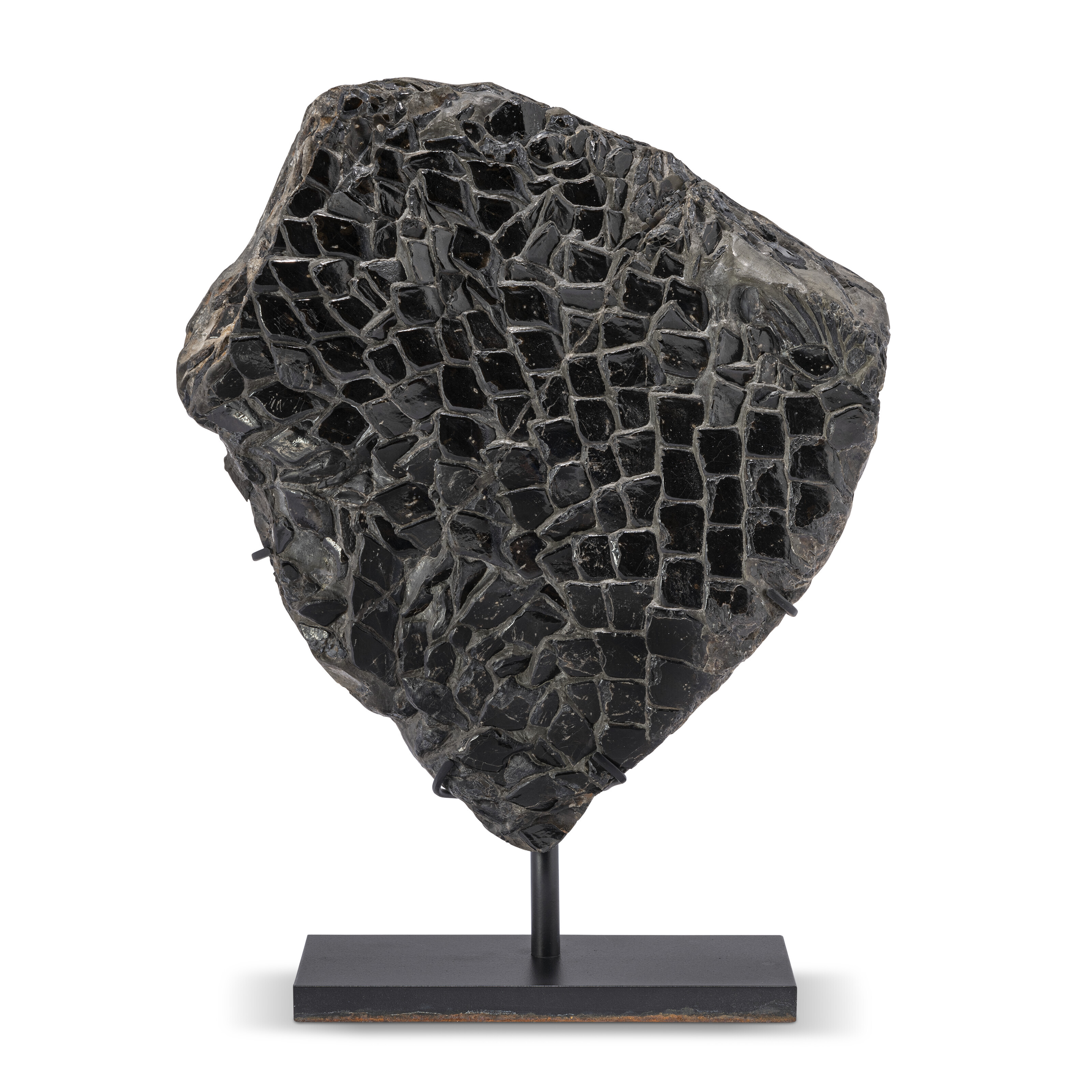 Finely preserved fossil fish scales, Whitby, UK, from the Upper Lias of the Jurassic (circa 183-176 million years ago). Sold for &pound;3,528 on 26 May 2022 at Christie&rsquo;s Online