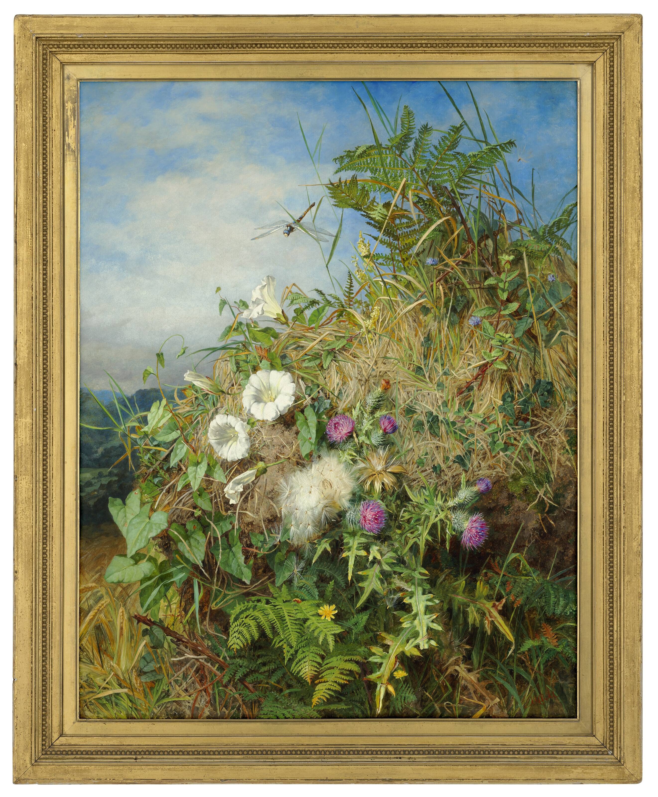 MARTHA DARLEY MUTRIE (1824-1885), Wild flowers at the corner of a