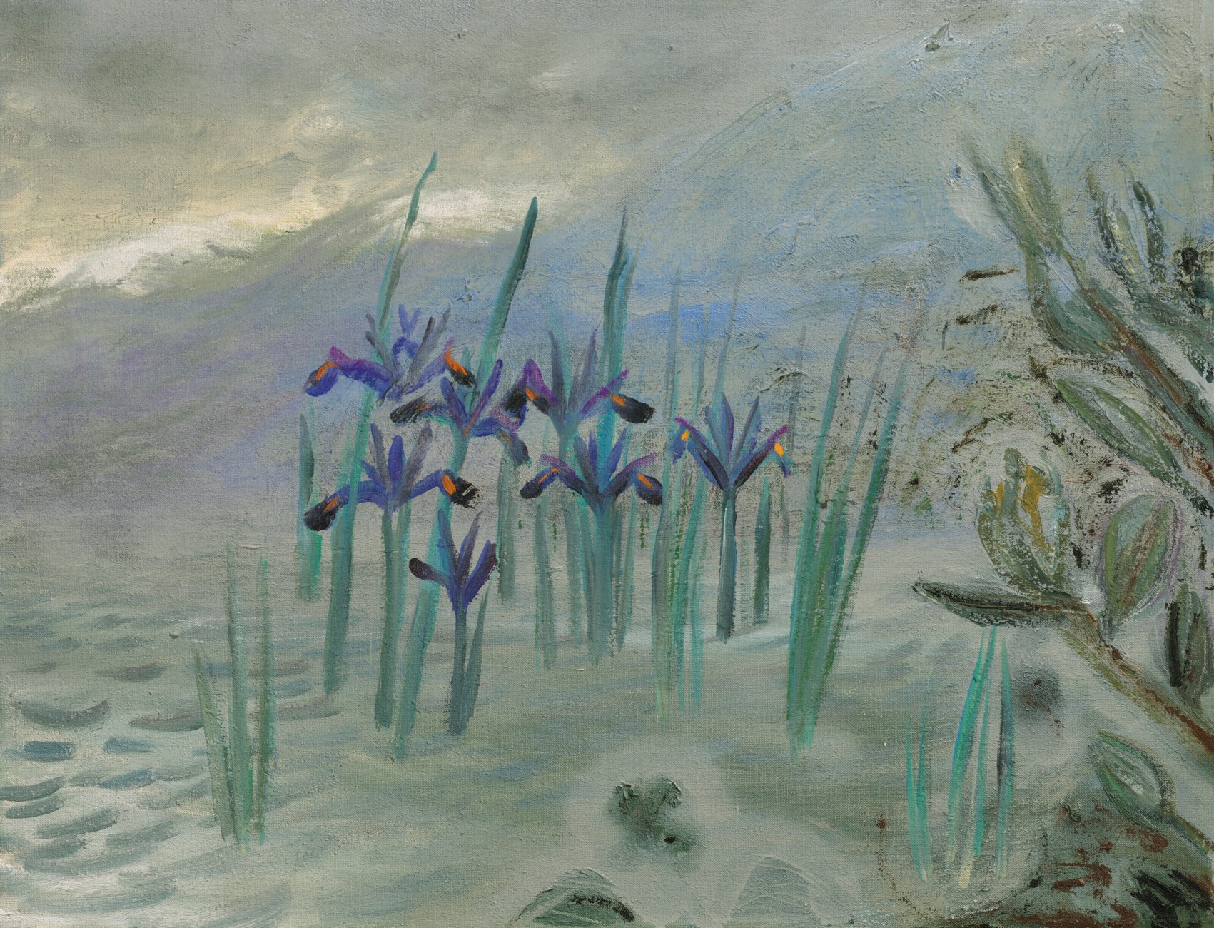 WINIFRED NICHOLSON (18931981), Marsh Iris Christie's
