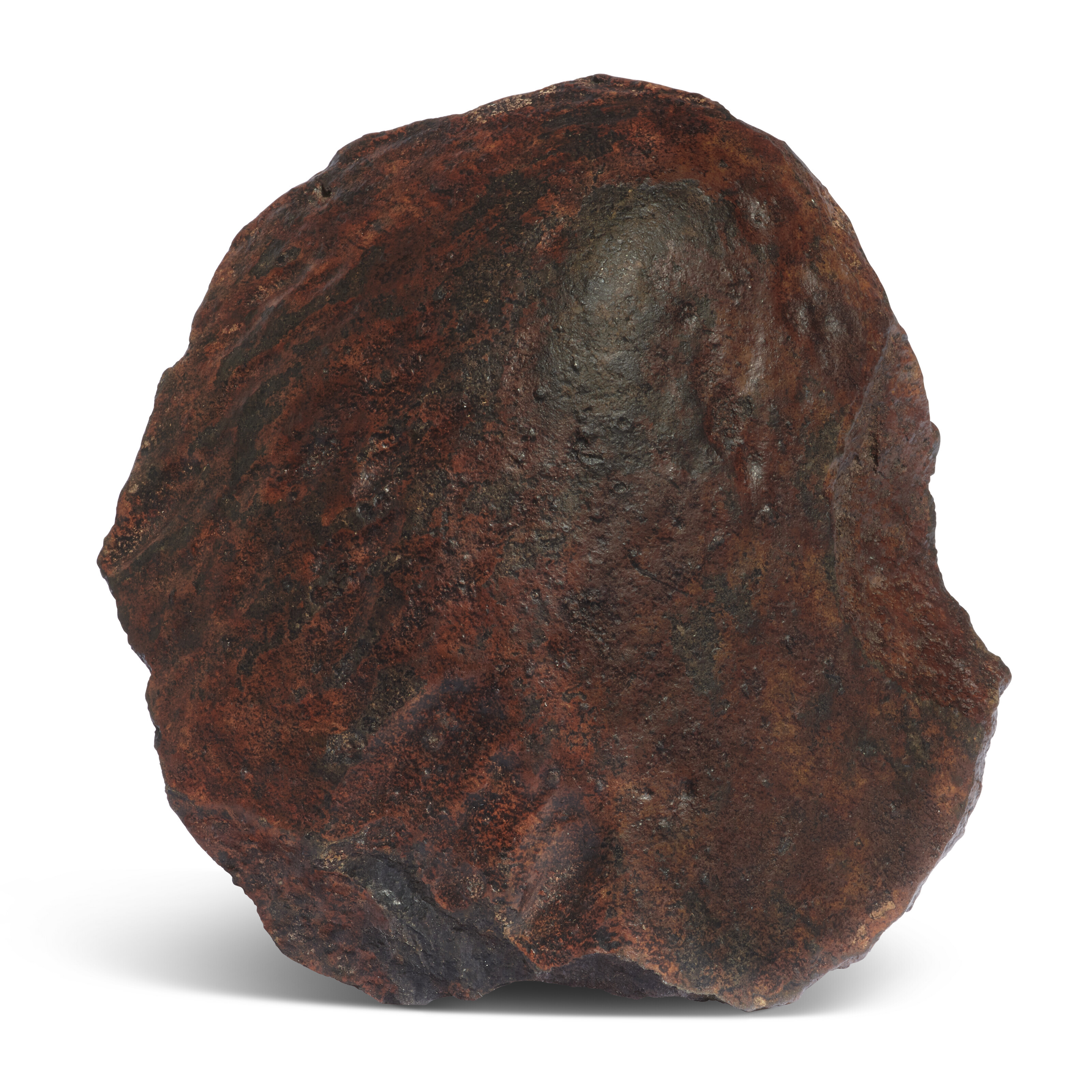 AN ORIENTED STONE METEORITE, NWA 869, CHONDRITE, L3-6MOROCCO
