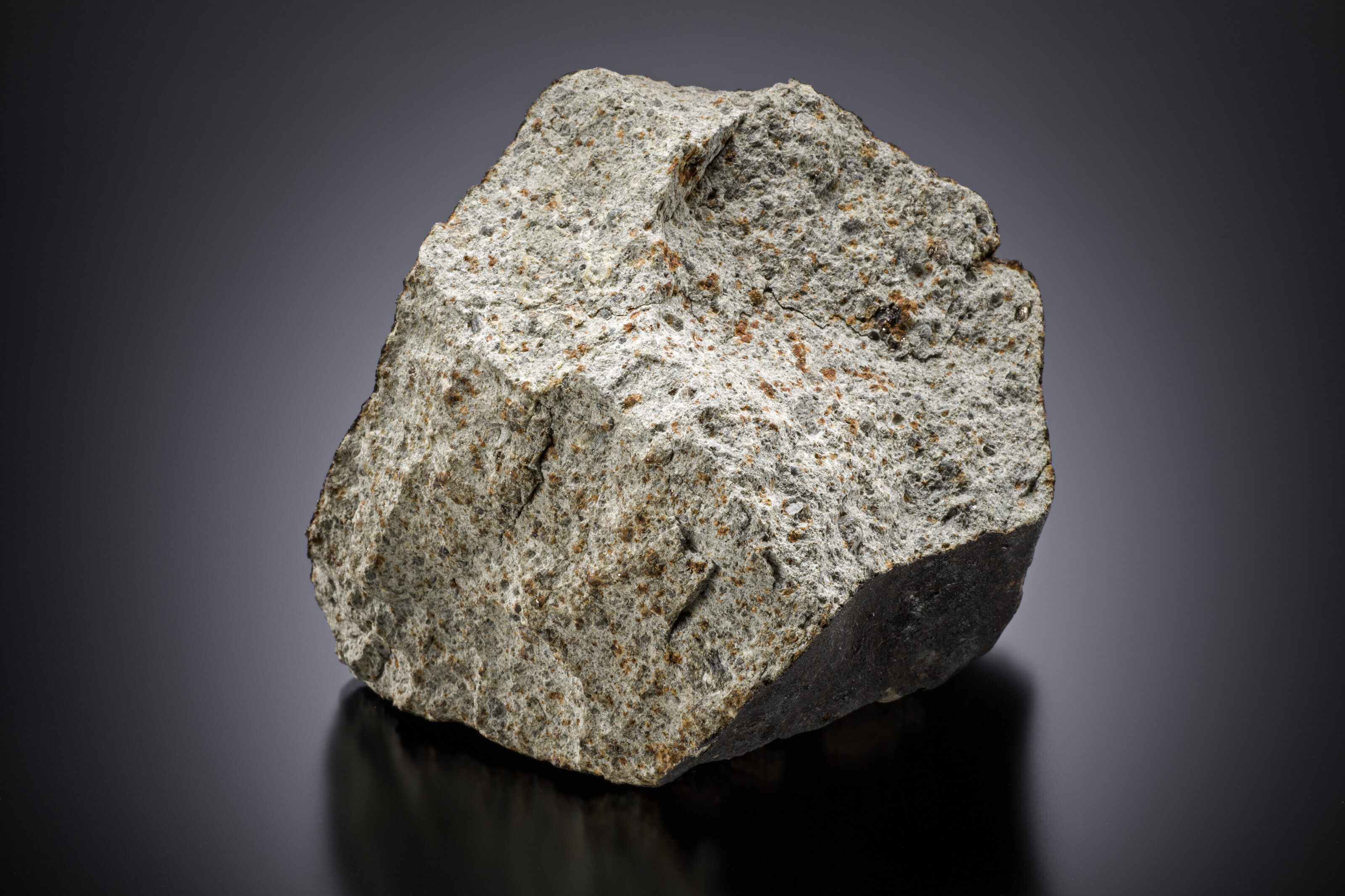 洋書 A Color Atlas of Meteorites 洋書 A Color Atlas of Meteorites A Color Atlas of Meteorites