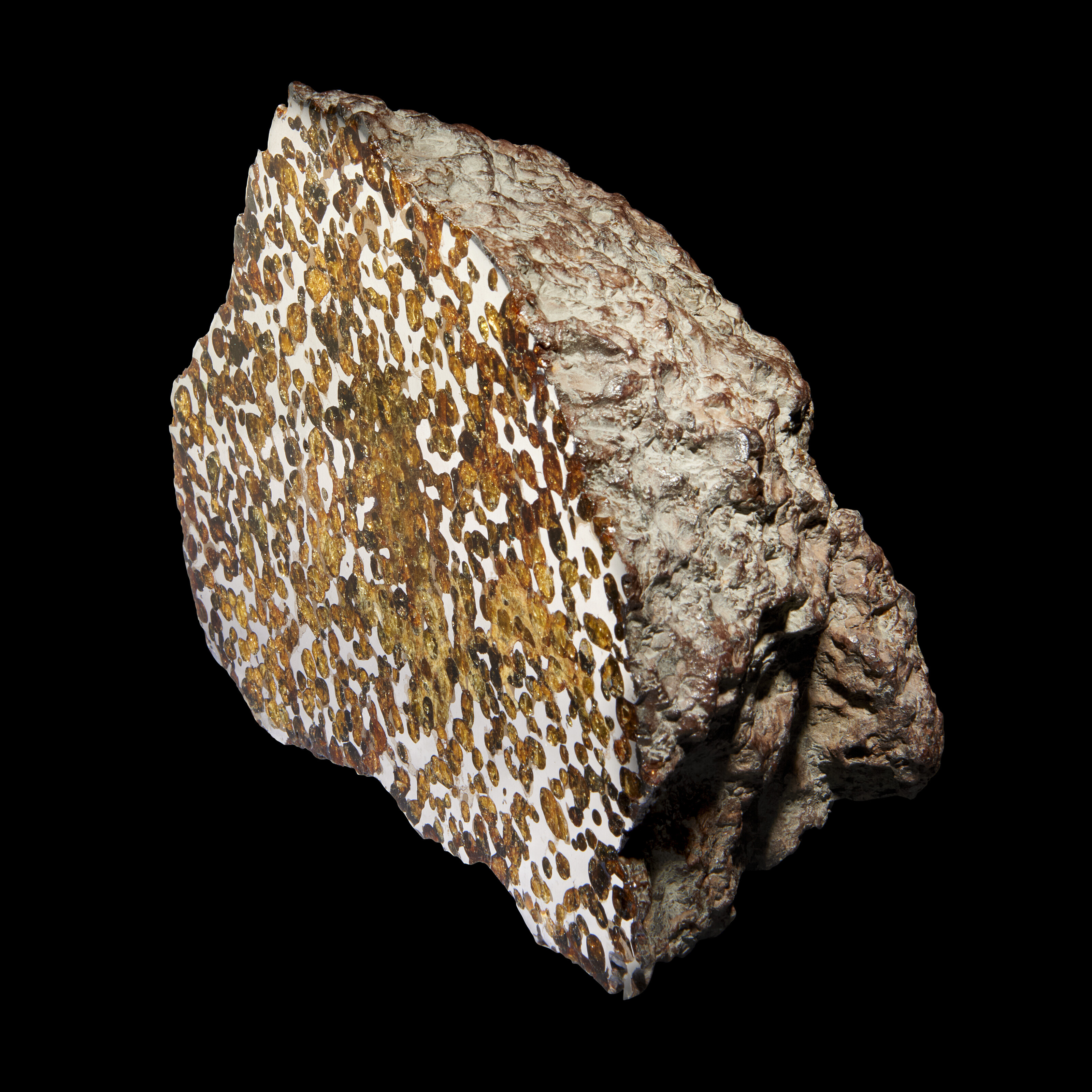 END PIECE OF SPRINGWATER METEORITE, Pallasite – PMG-AN