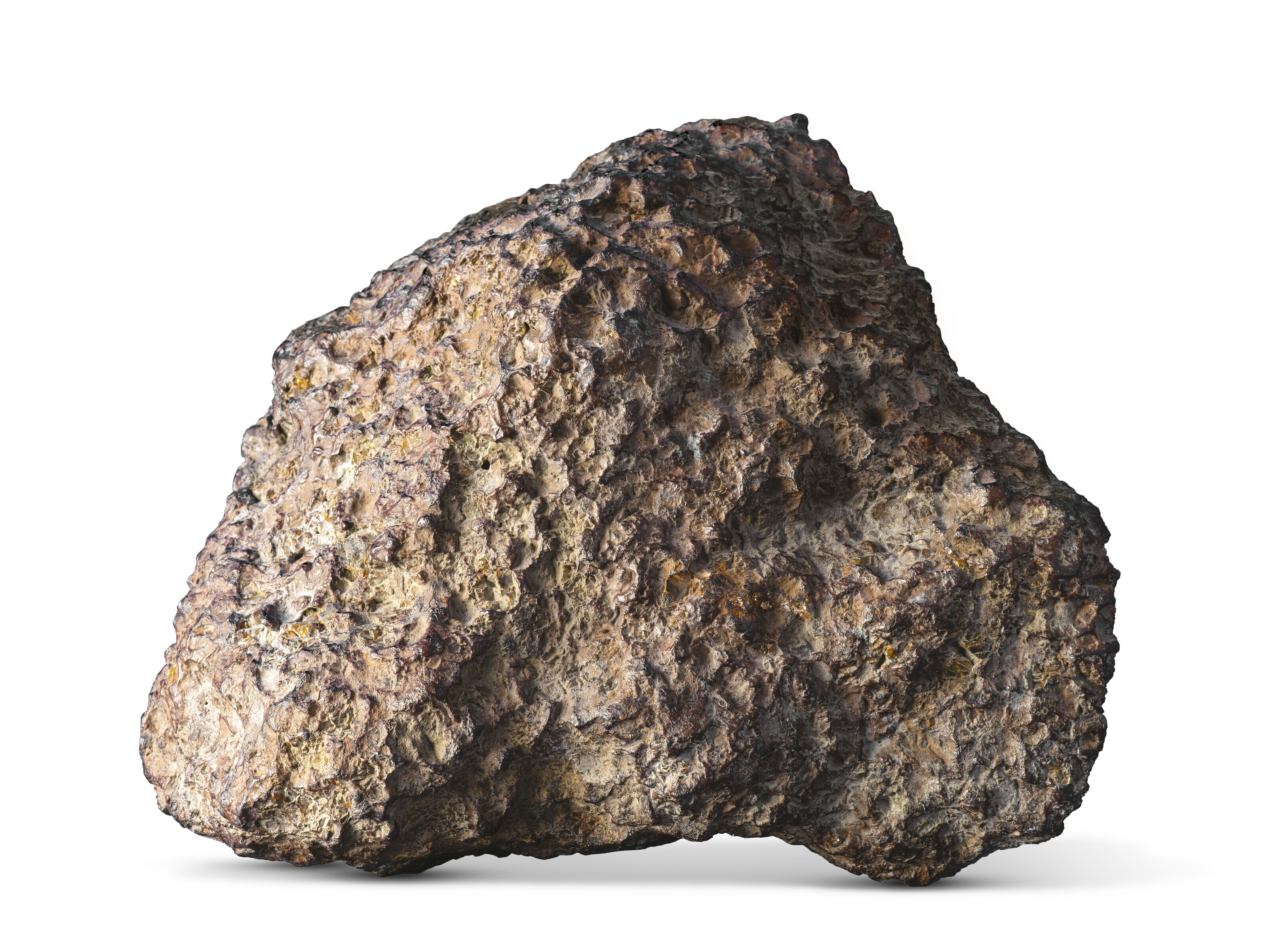 END PIECE OF SPRINGWATER METEORITE, Pallasite – PMG-AN