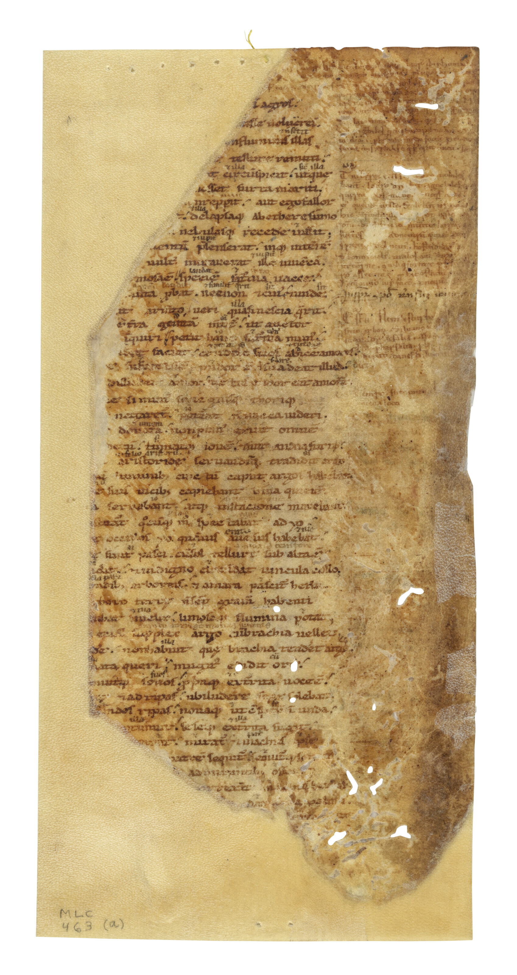 Ovid (43 BCE 17/18 CE), Three fragments from the Metamorphoses, in