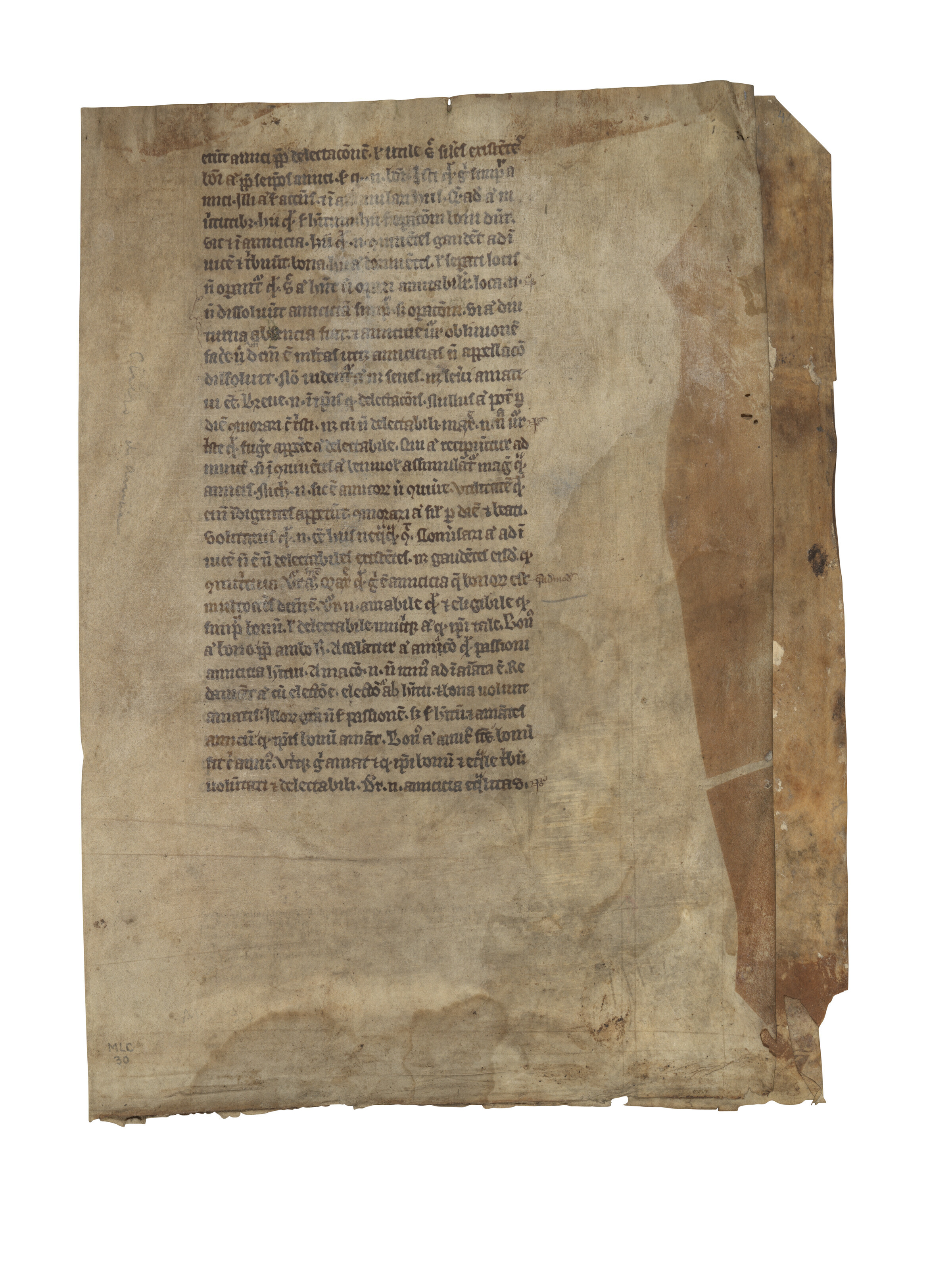 洋書 ANALYSIS PHILOLOGICA NOVI TESTAMENTI GRA analysis philologica novi testamenti graeci : max zerwick