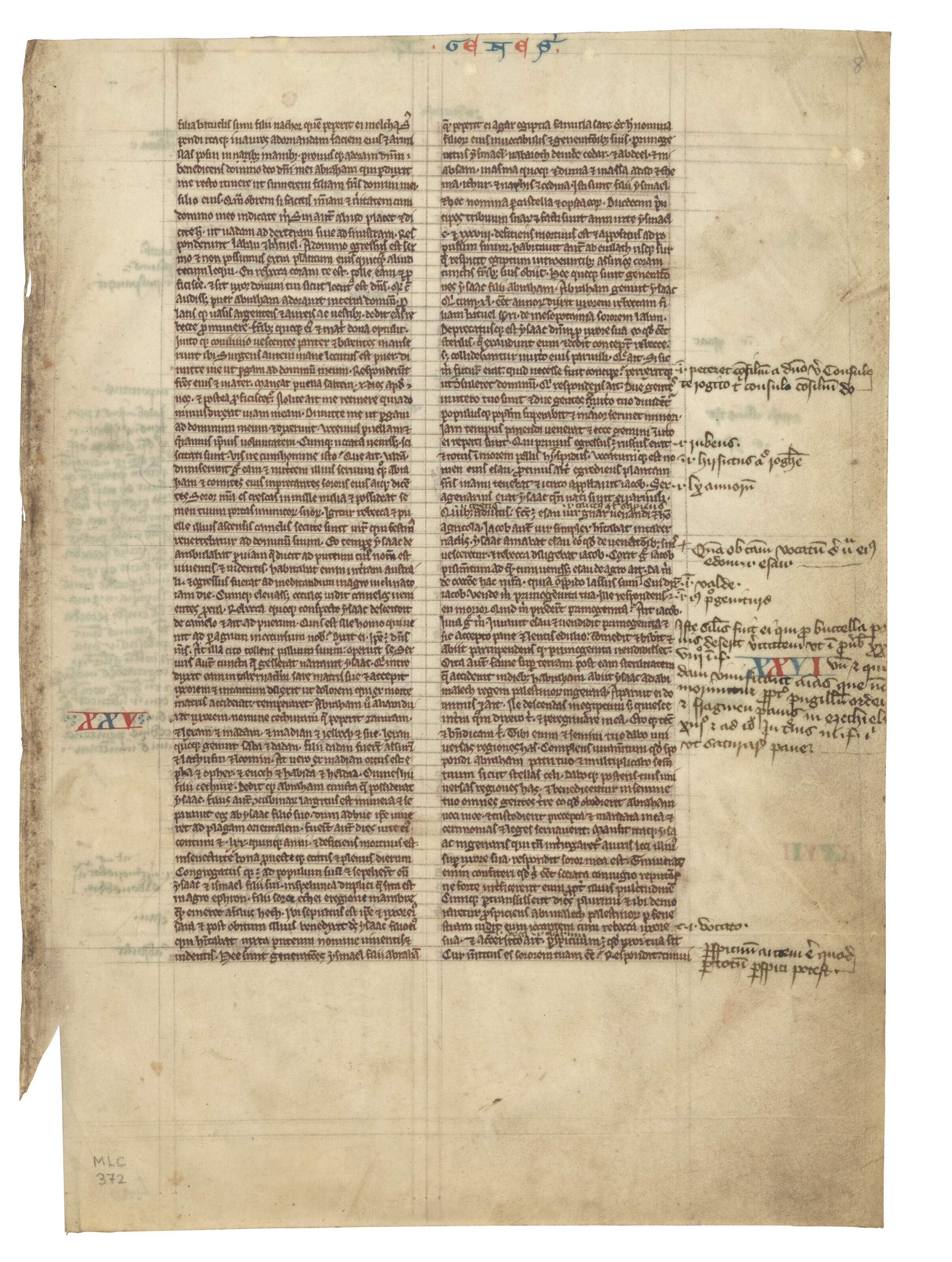 A Study Group, A study group of leaves and fragments, in Latin, Dutch ...