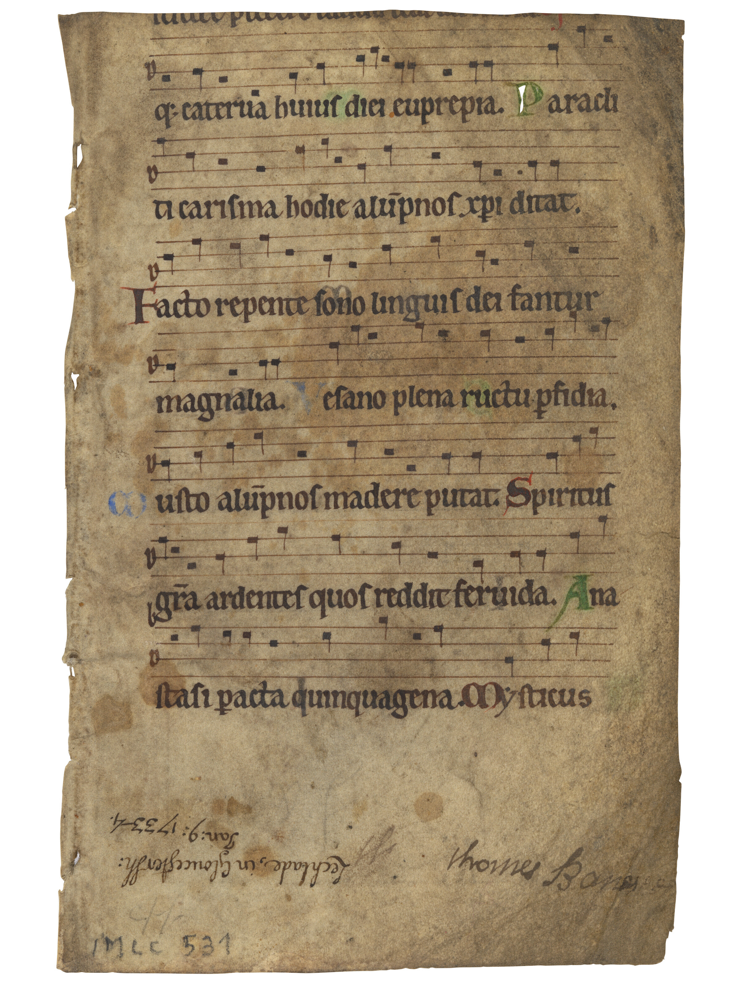 A Study Group, A study group of leaves and fragments, in Latin ...