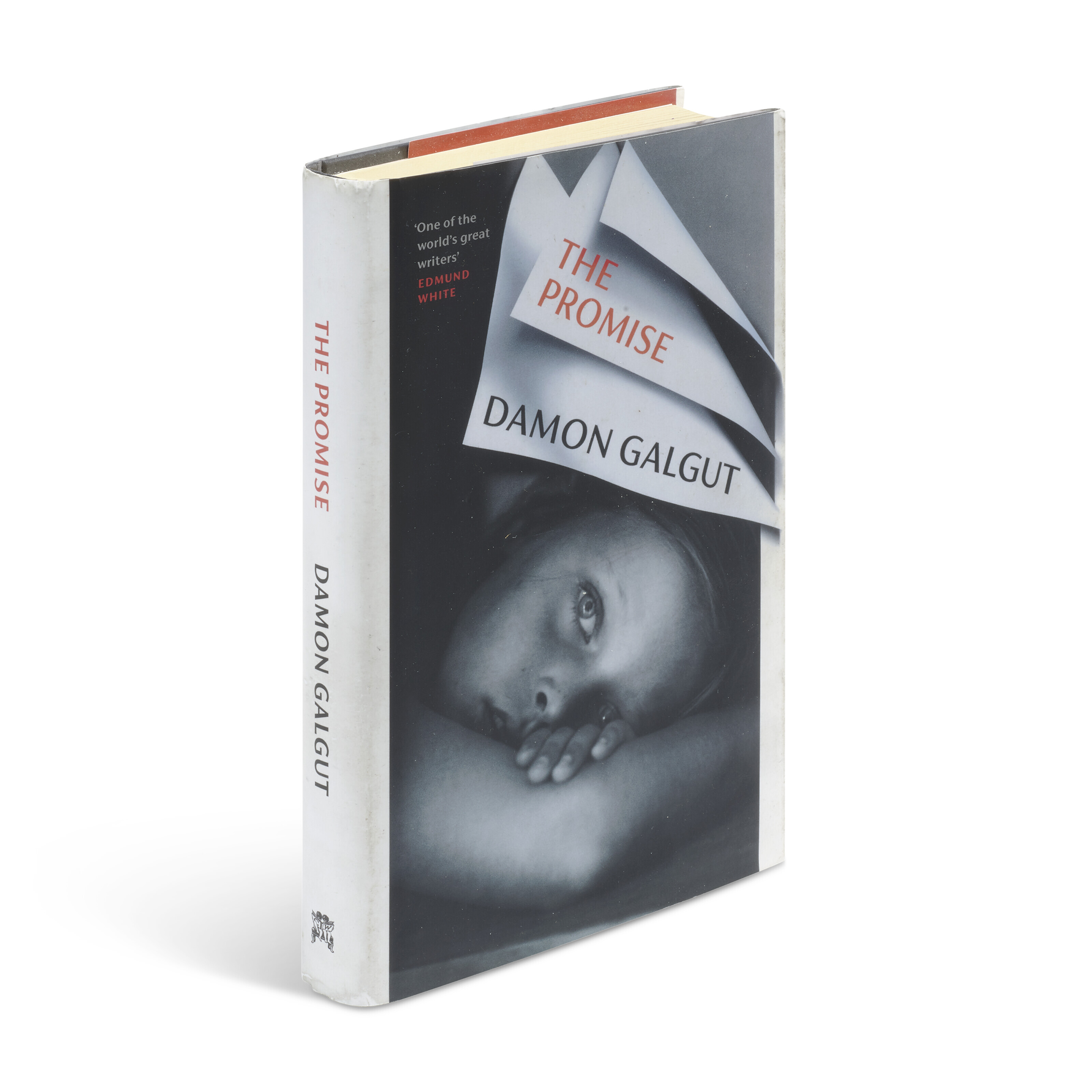 synopsis of the promise damon galgut