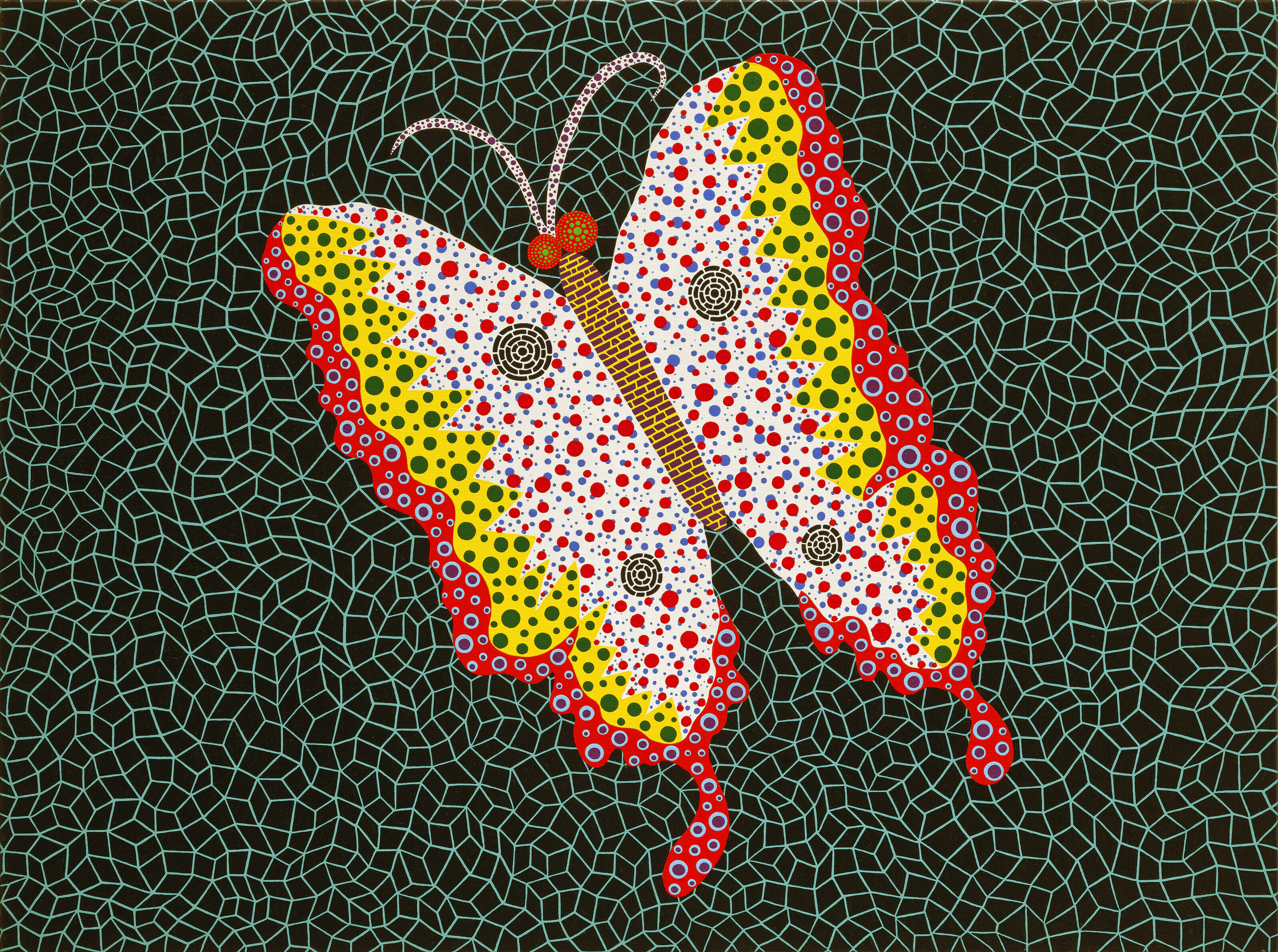 A Butterfly