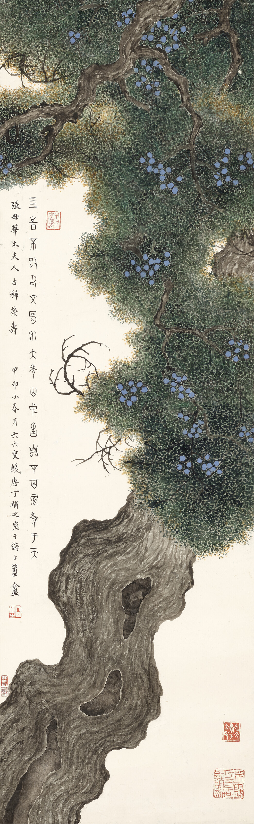 Catalog image of Cypress Tree
