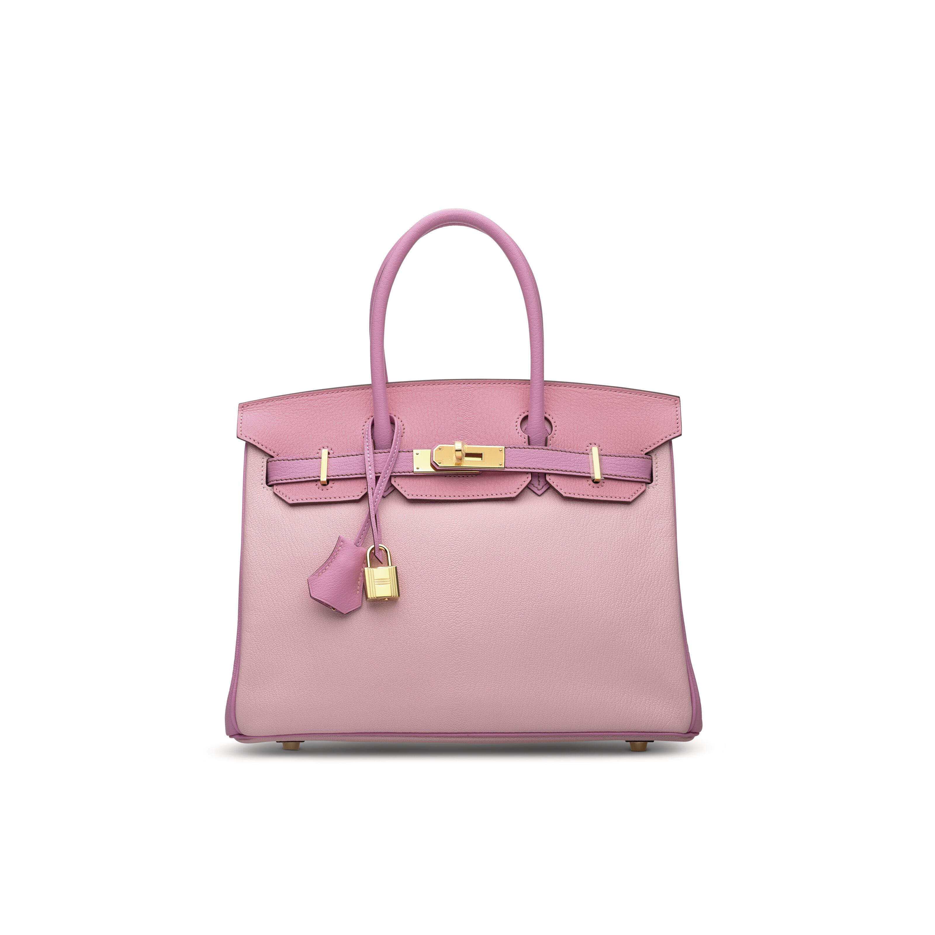 Kelly rose sakura online