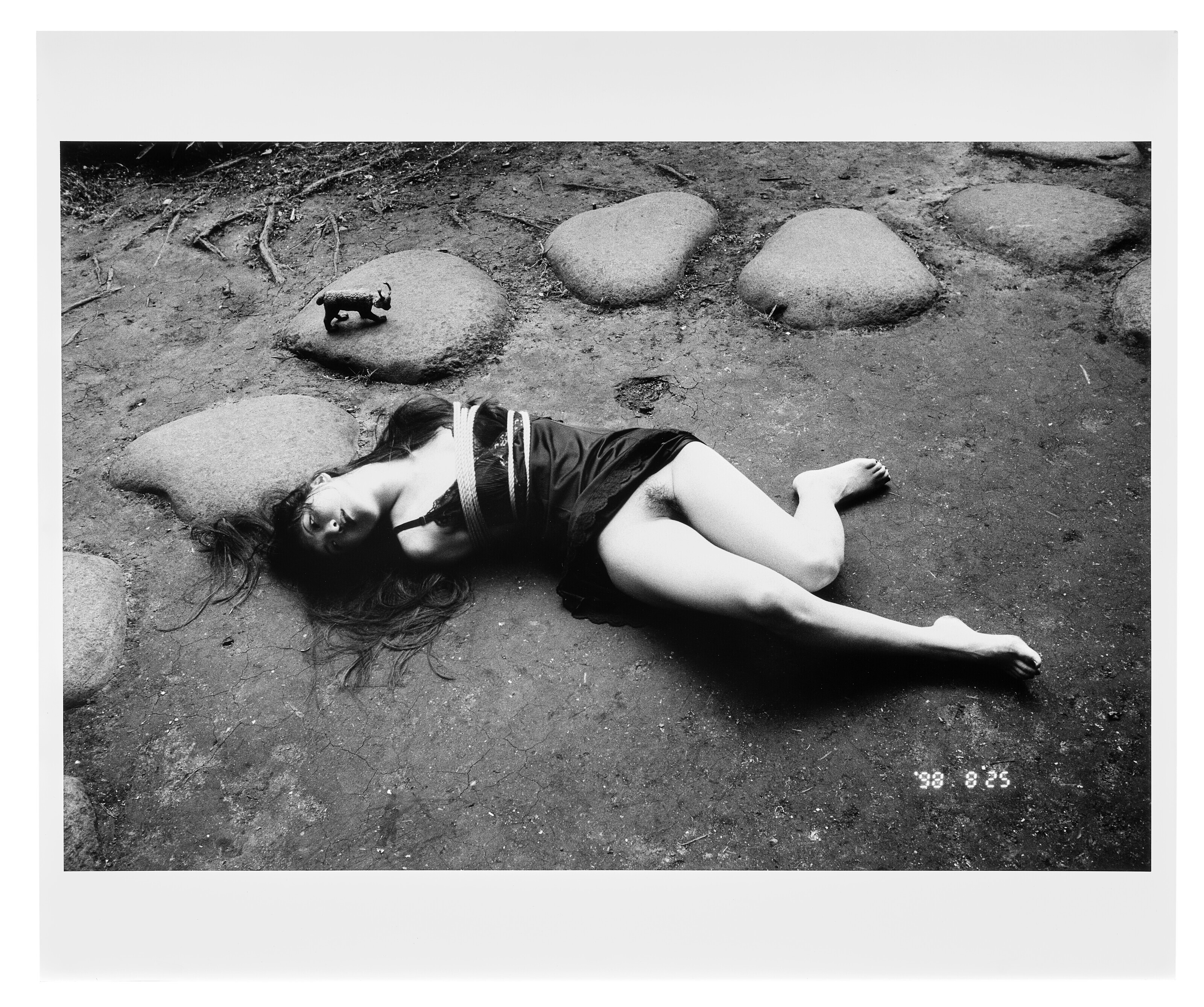 Catalog image of Grand Diary of Photo Maniac