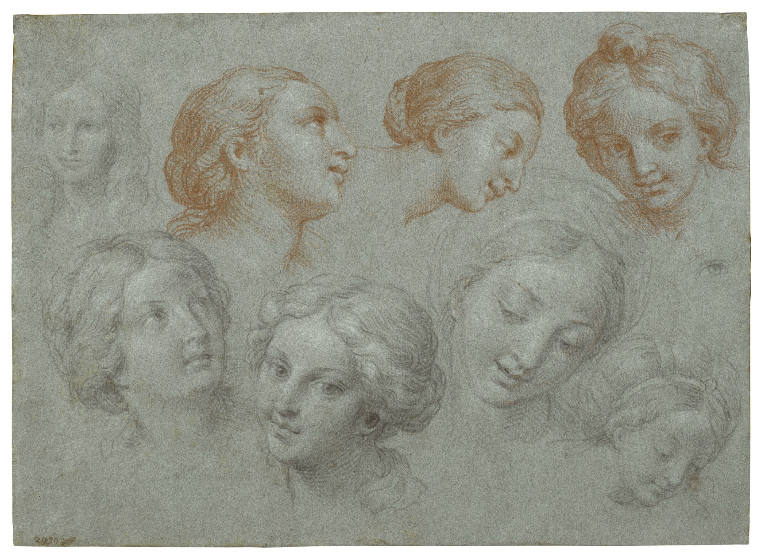 Catalog image of Eight studies of women’s heads