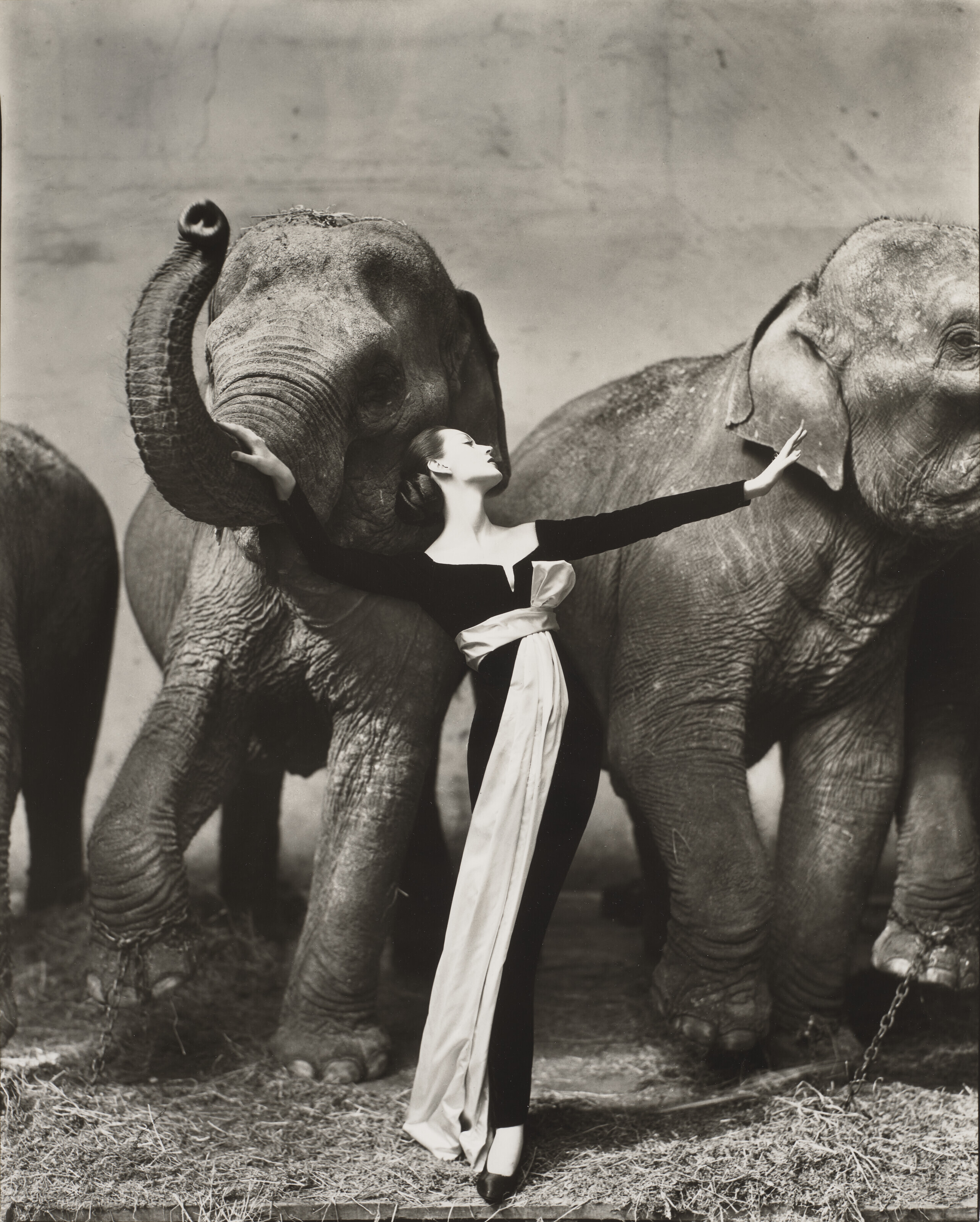 【Avedon: Women】 Richard Avedon Avedon: Women Book | Gagosian Shop