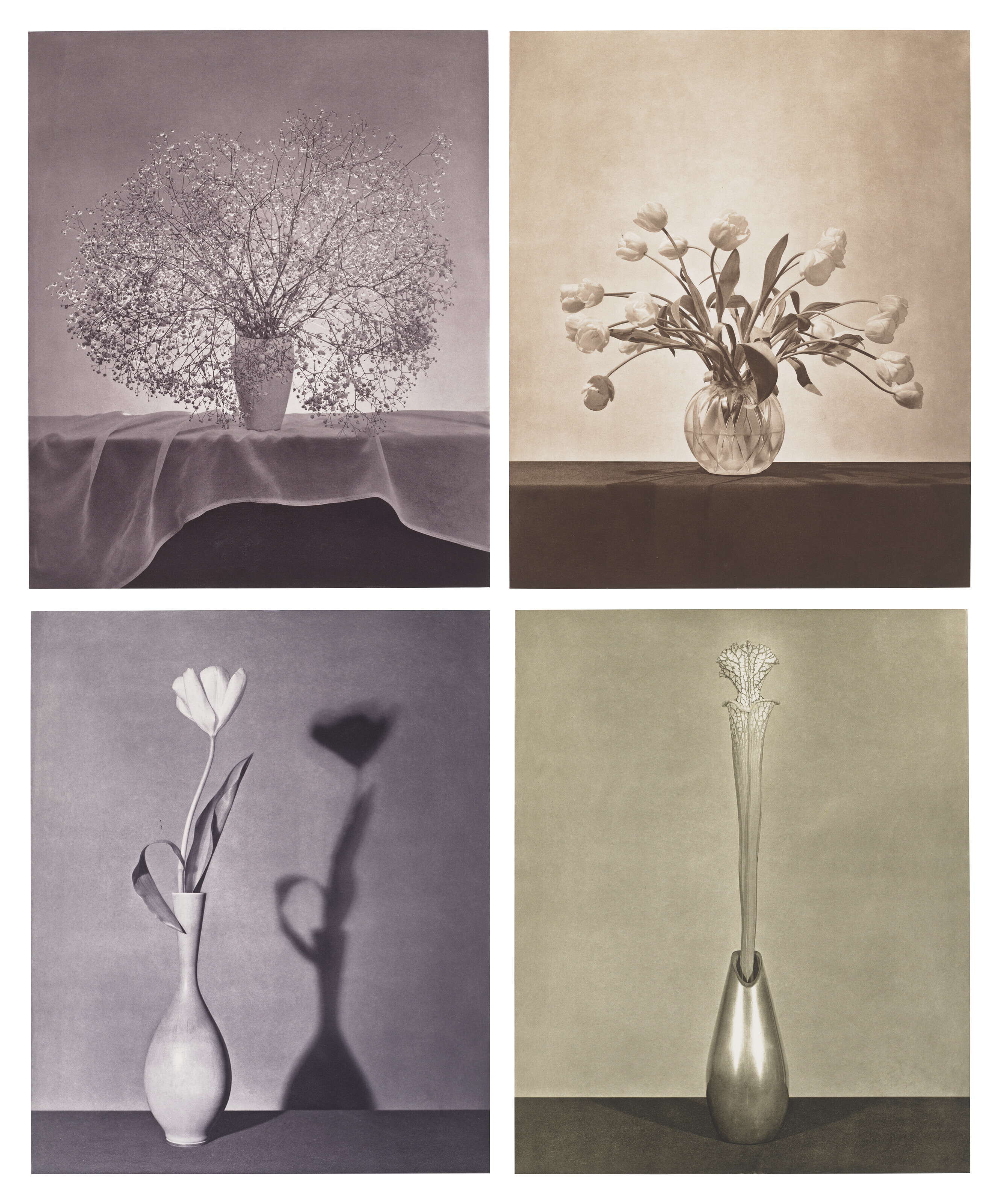 ROBERT MAPPLETHORPE (1946–1989), Flowers, 1983 | Christie