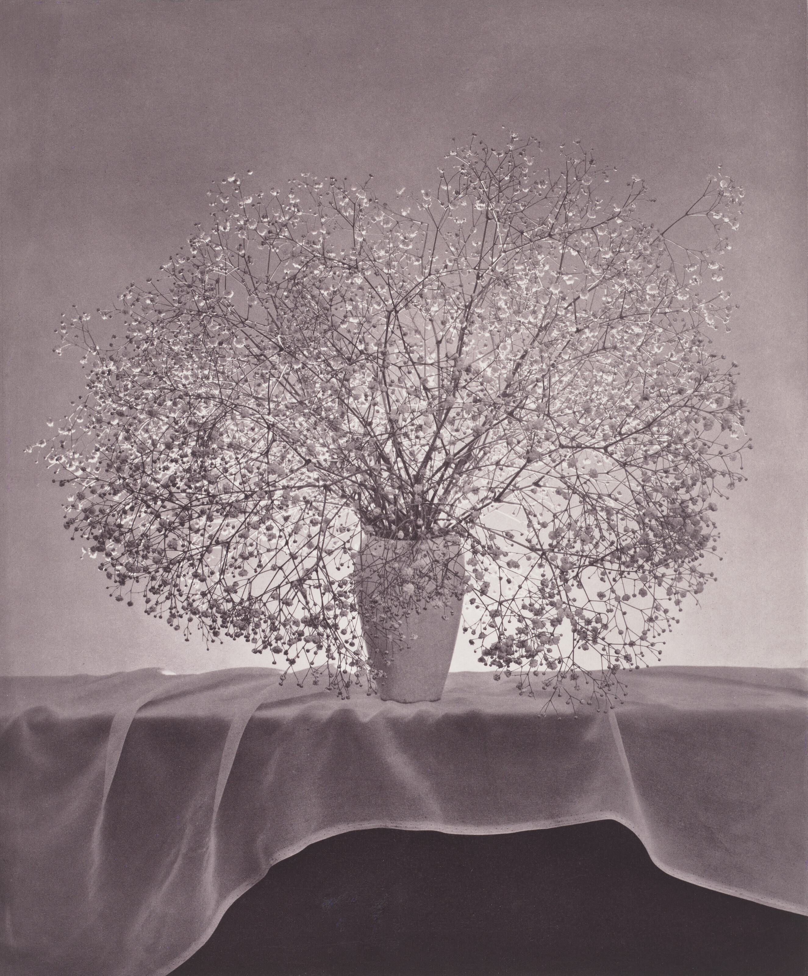 ROBERT MAPPLETHORPE (1946–1989), Flowers, 1983 | Christie's