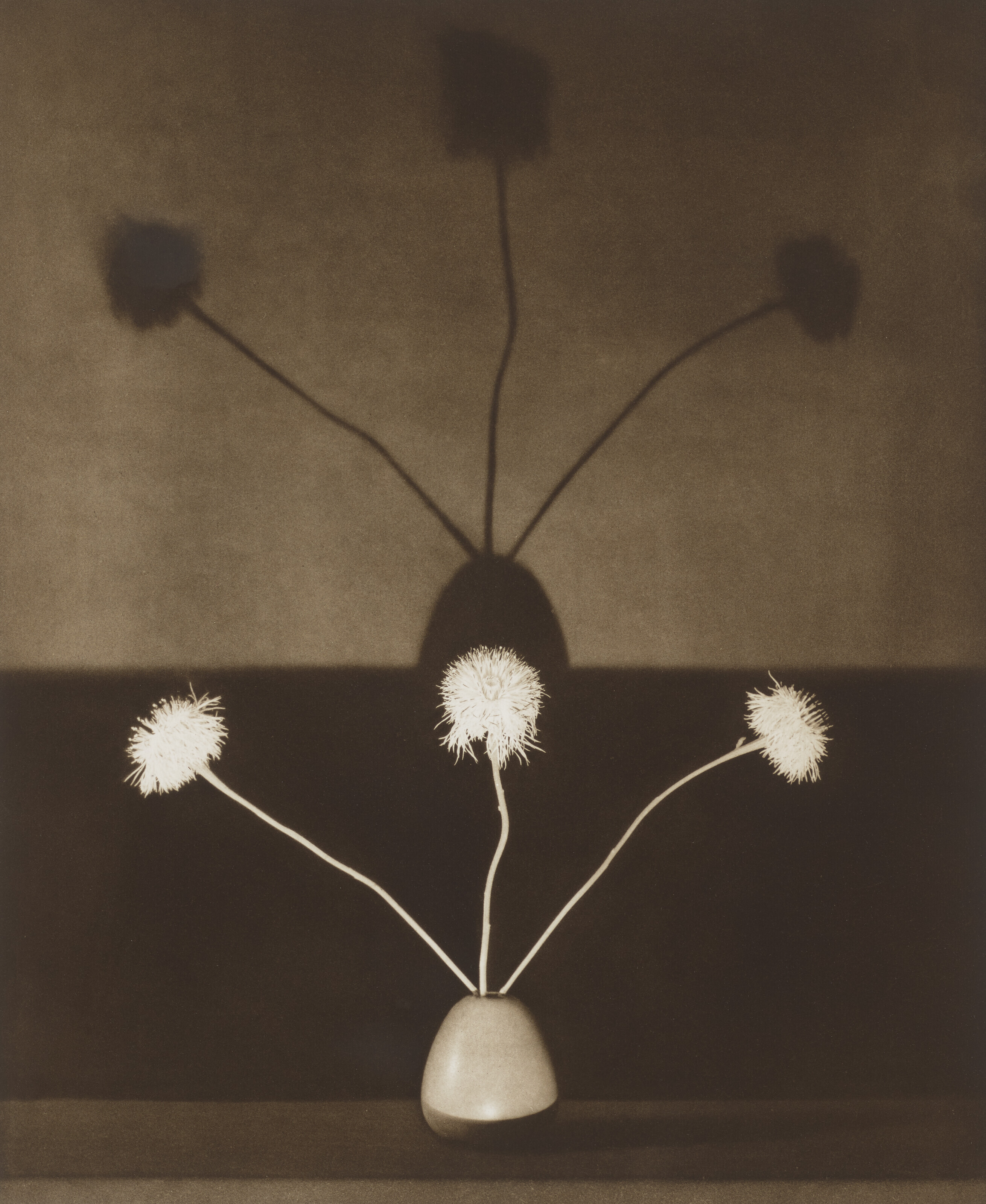 ROBERT MAPPLETHORPE (1946–1989), Flowers, 1983 | Christie's