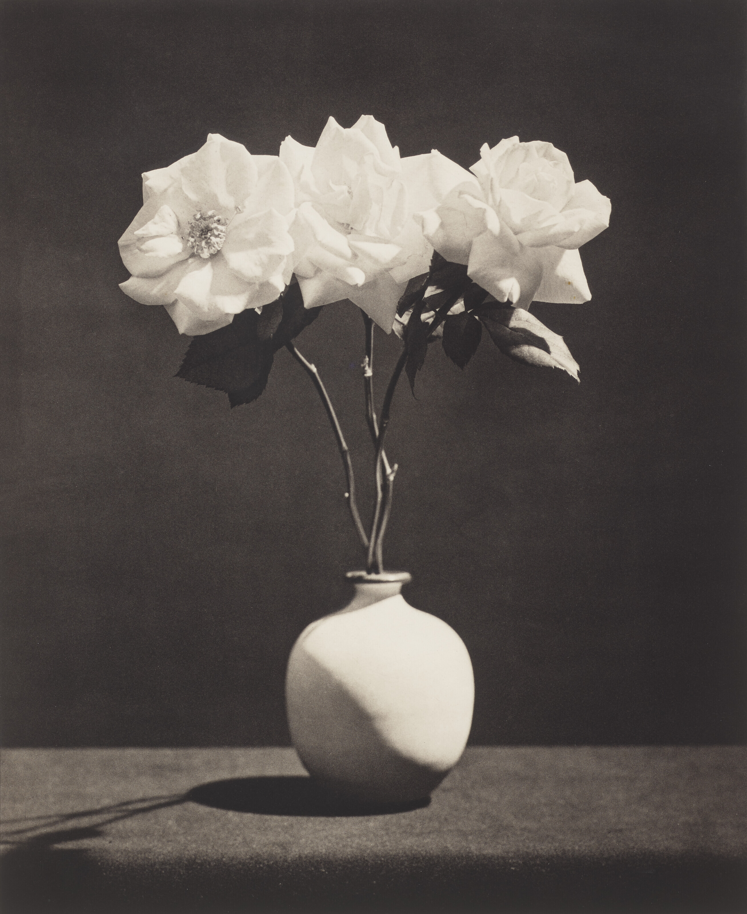 【極美品】Mapplethorpe The Complete Flowers Amazon.com: Mapplethorpe Flora: The Complete Flowers
