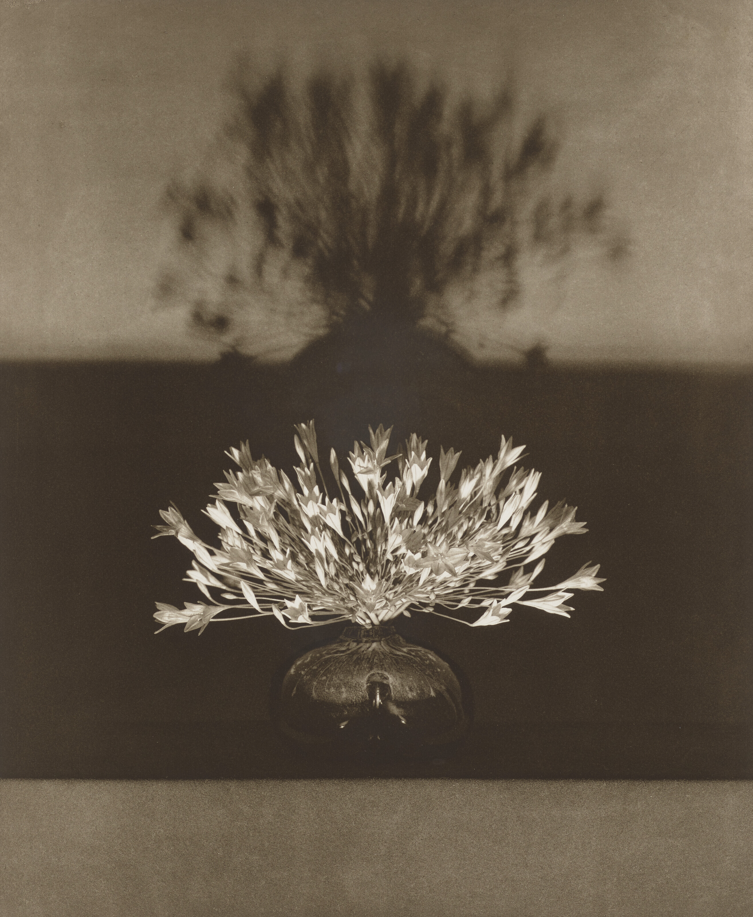 ROBERT MAPPLETHORPE (1946–1989), Flowers, 1983 | Christie's
