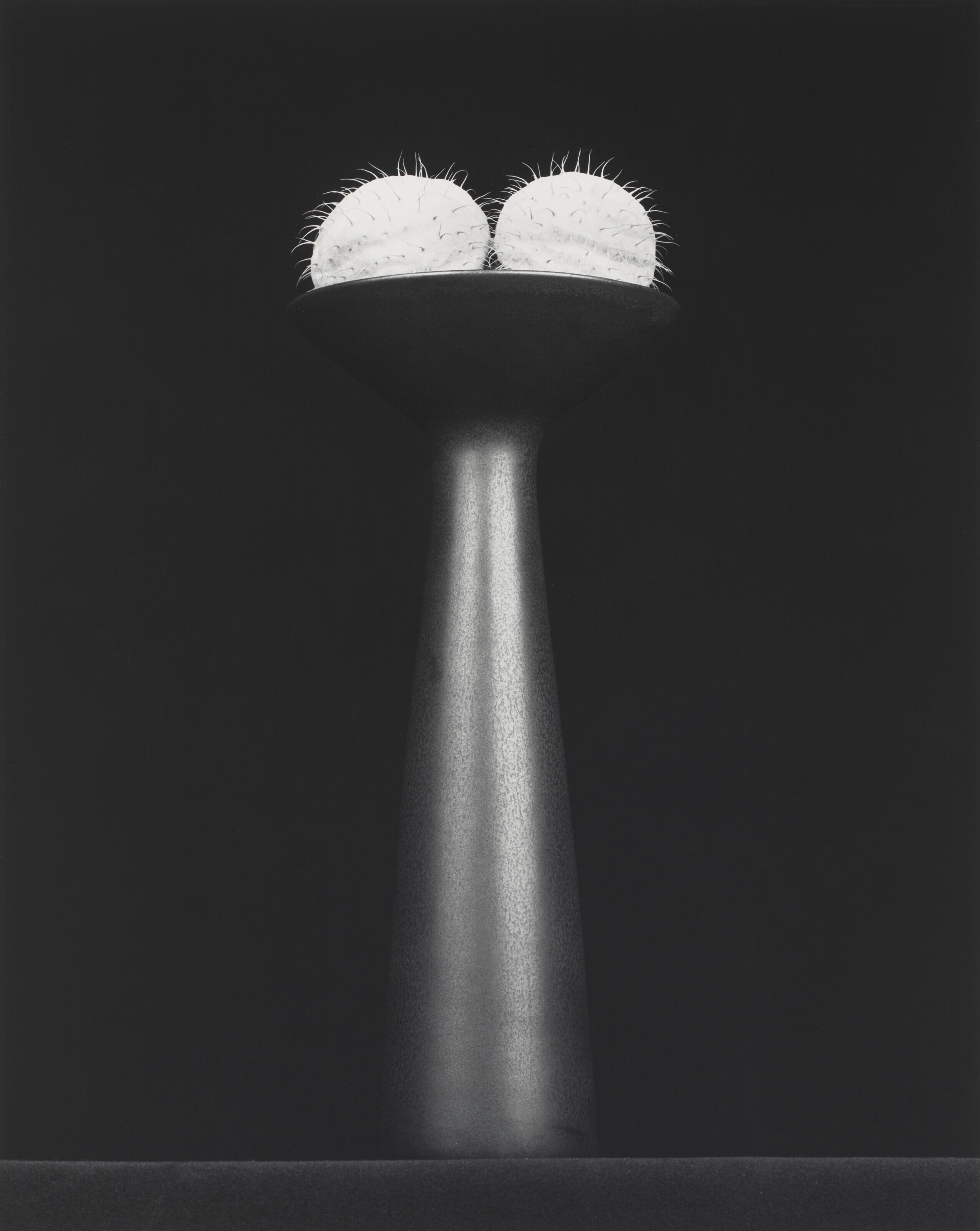 Catalog image of Flower, 1983