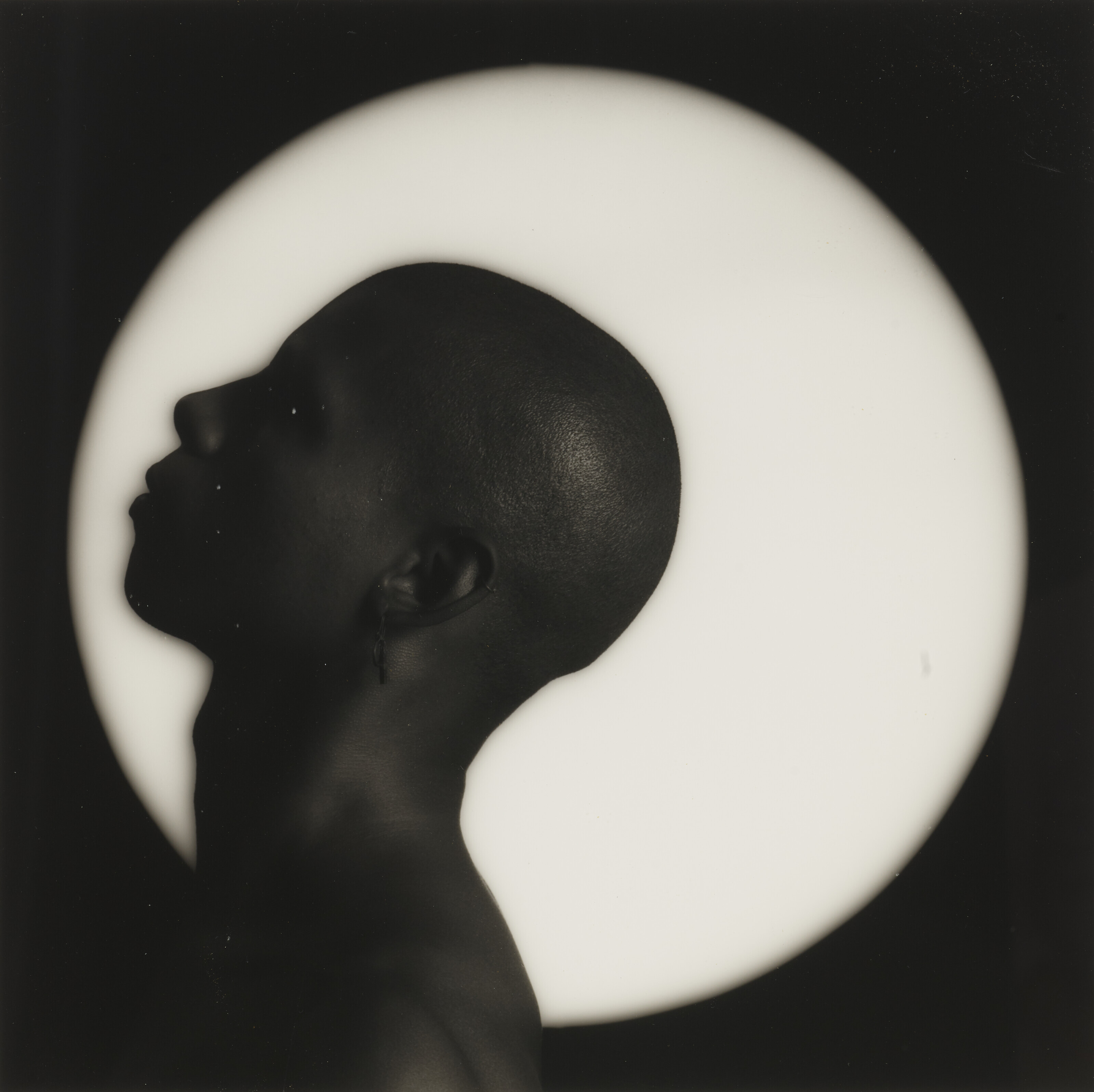 ROBERT MAPPLETHORPE (1946–1989), André, 1984 | Christie's