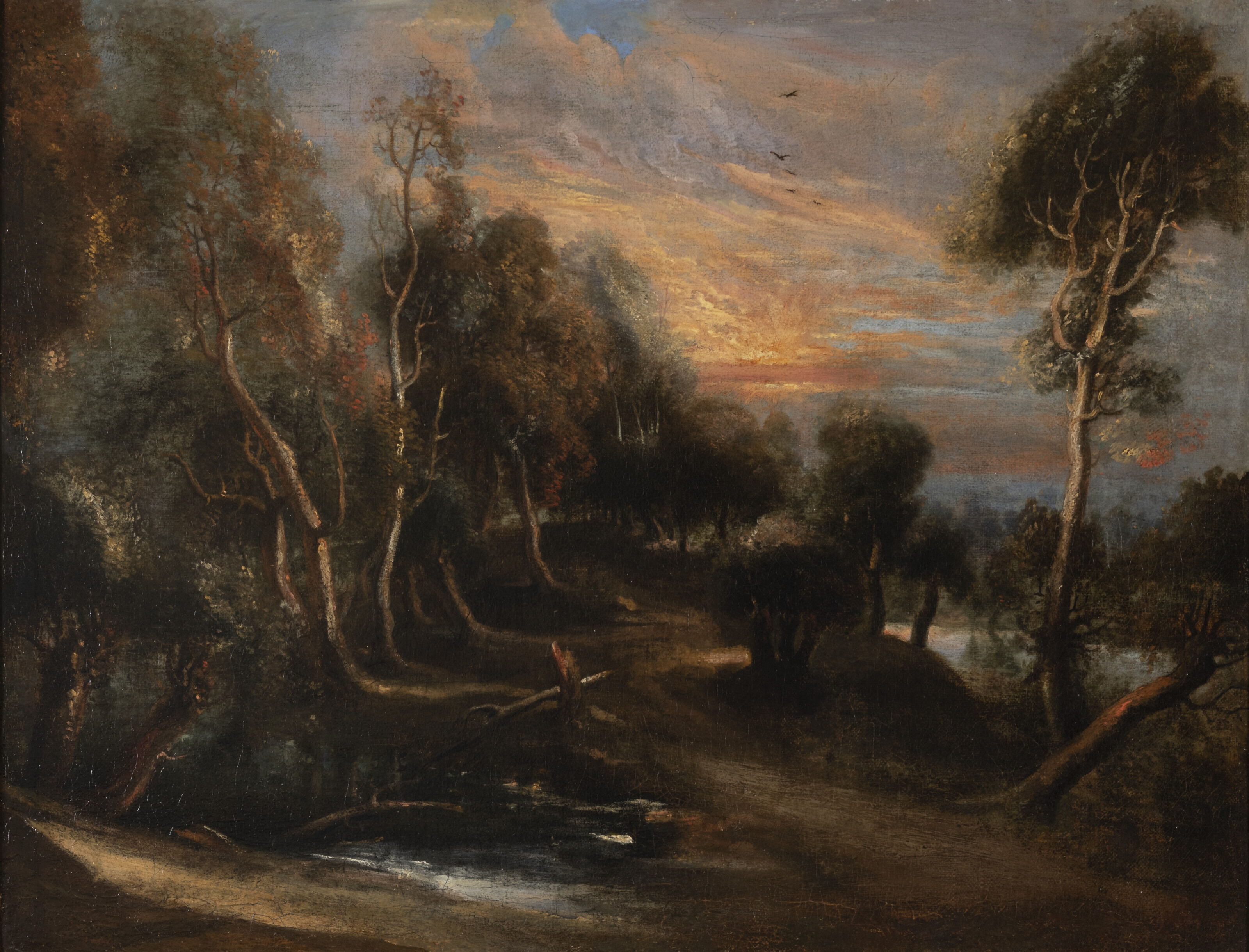 A wooded landscape at sunset