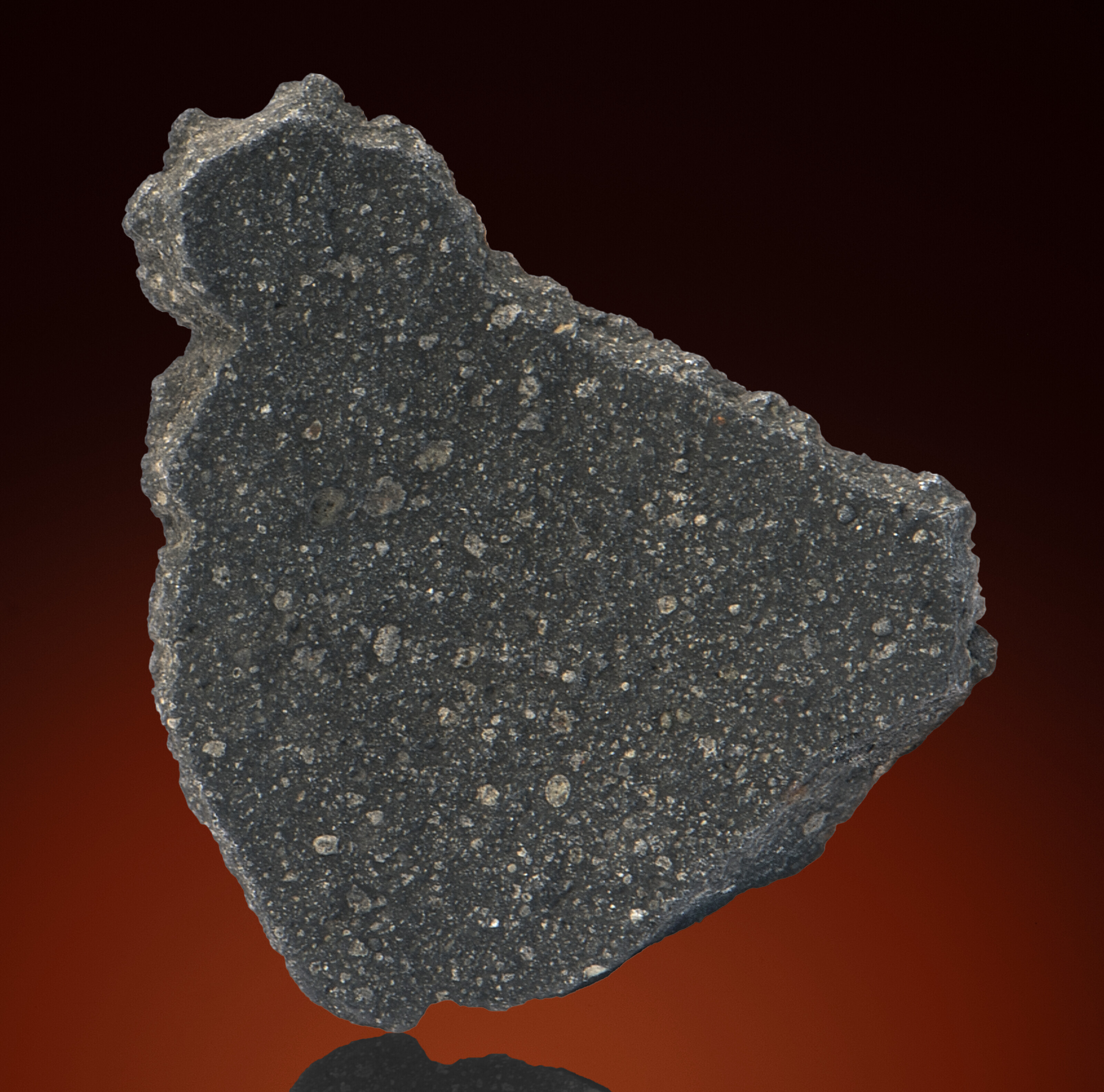 MURRAY CM2 METEORITE — A RARE CRUSTED FRAGMENT, Carbonaceous