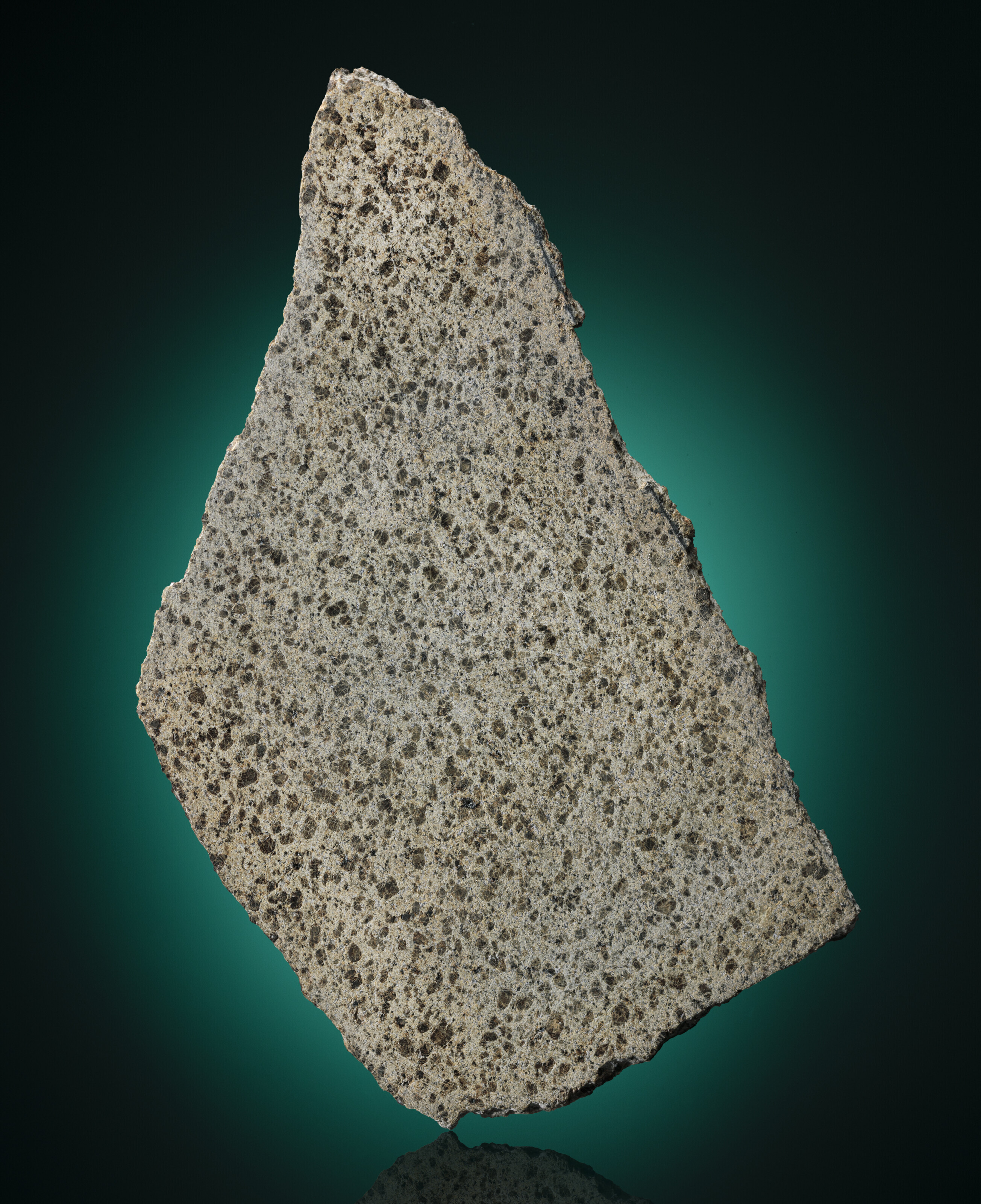 NWA 10295 (36.52 gram) – PolandMET Meteorites