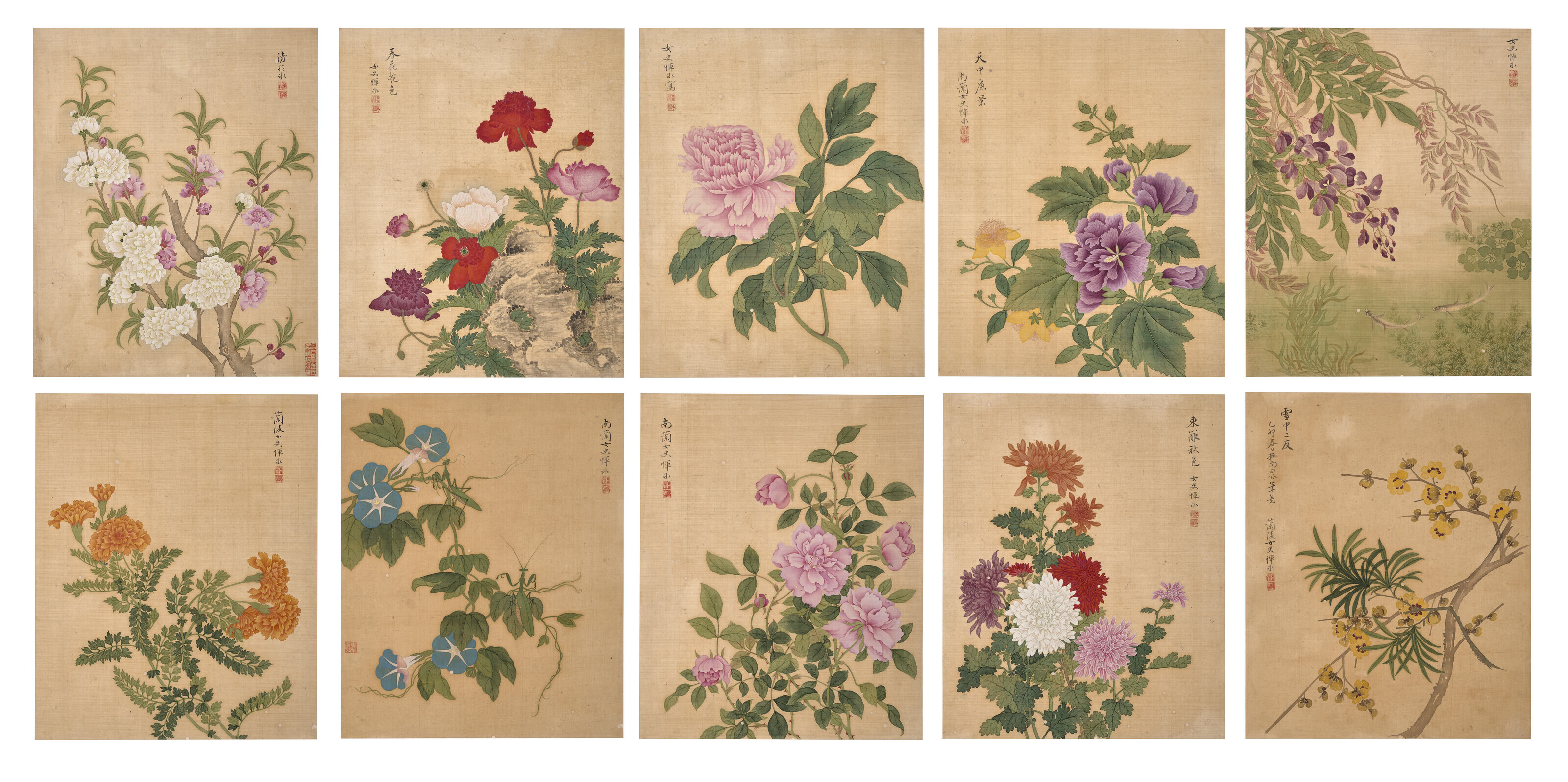 Catalog image of Album of Flowers