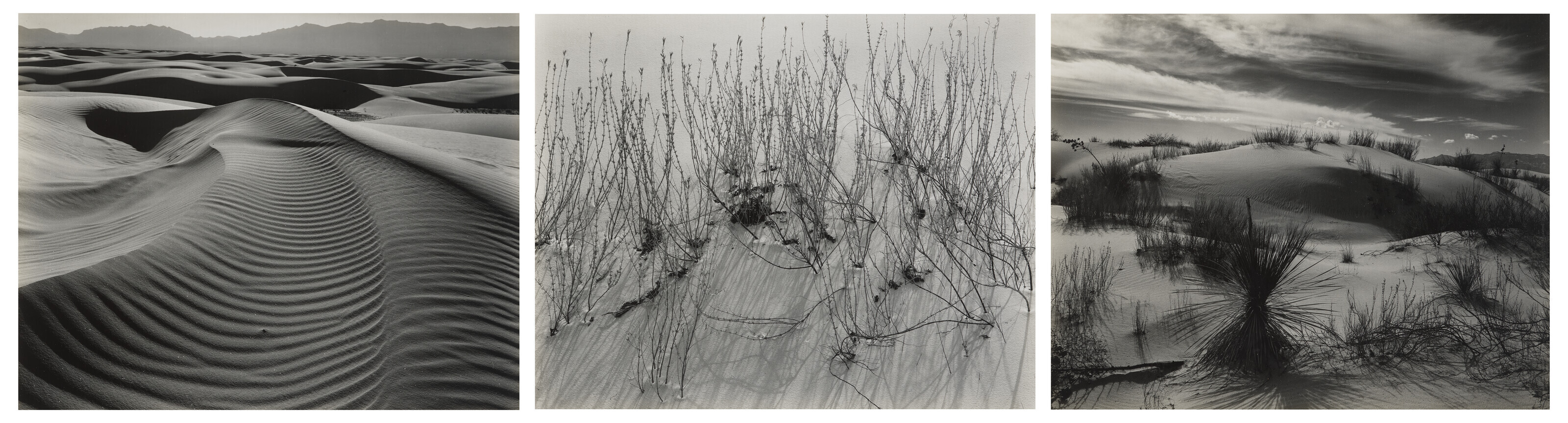 EDWARD WESTON (1886–1958), Dunes, Oceano, 1936 | Christie's