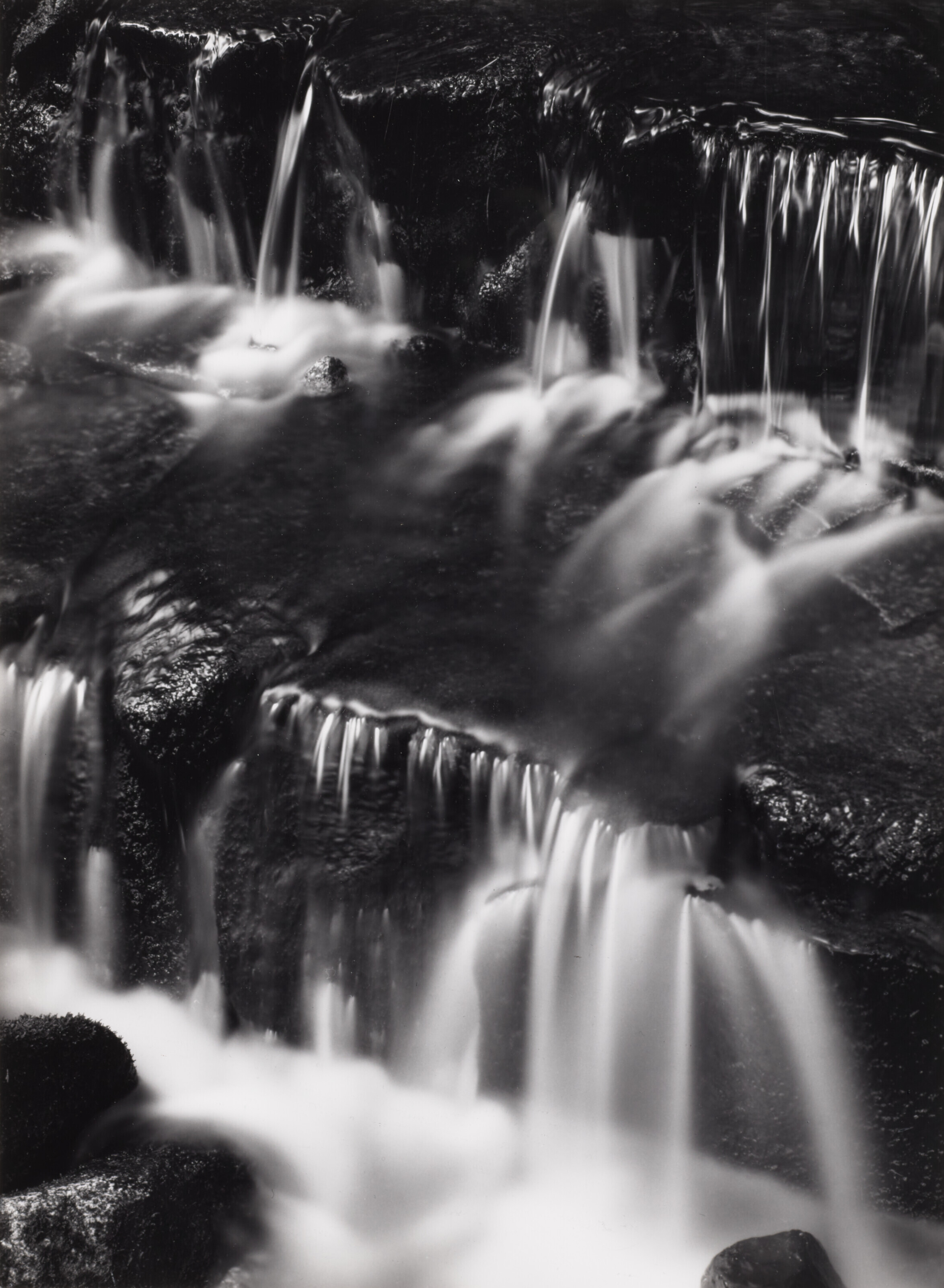 ANSEL ADAMS (1902-1984), Fern Spring, Dusk Yosemite Valley