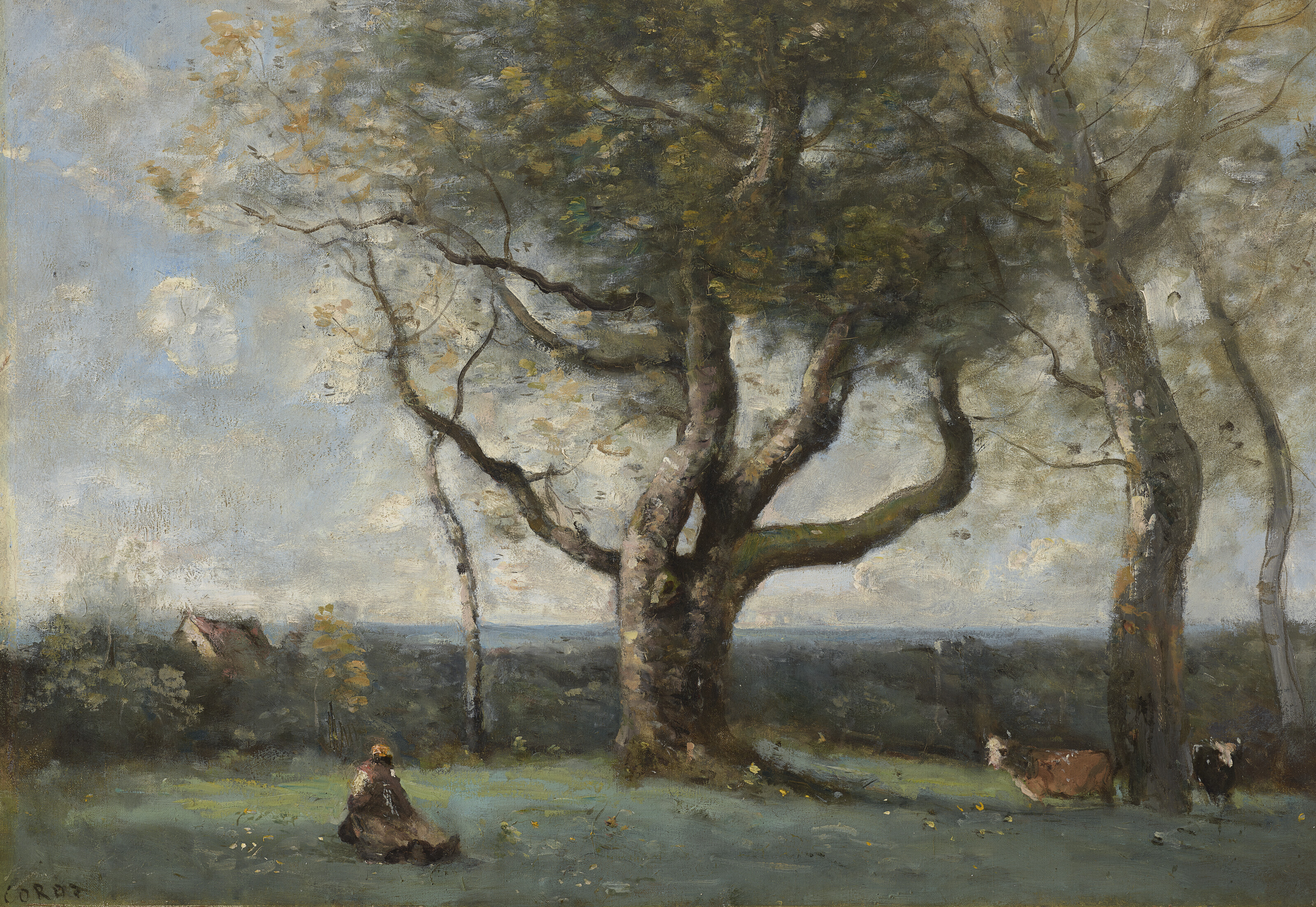 Le gros arbre (environs de Gournay)