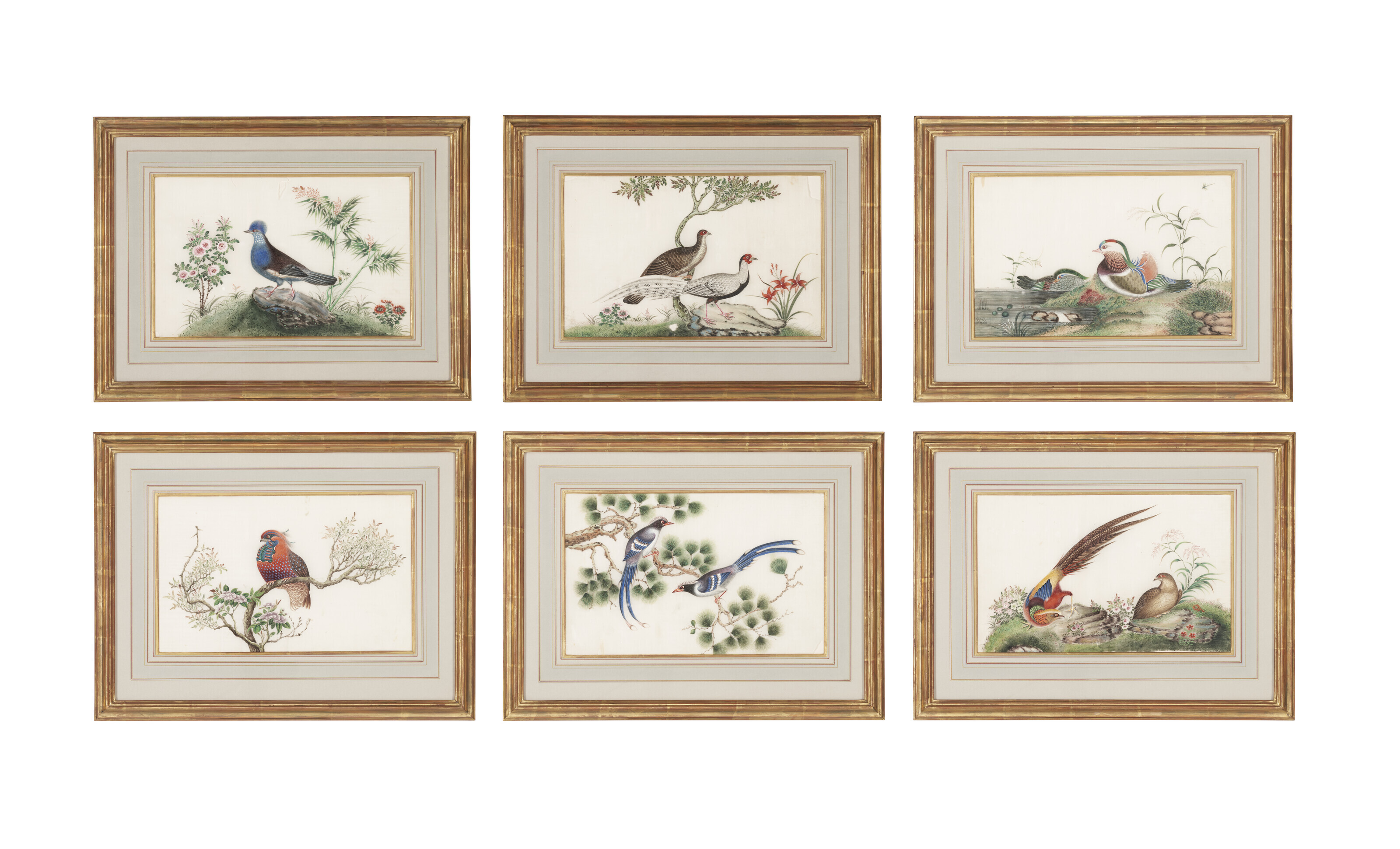 chinese-school-19th-century-six-studies-of-birds-christie-s