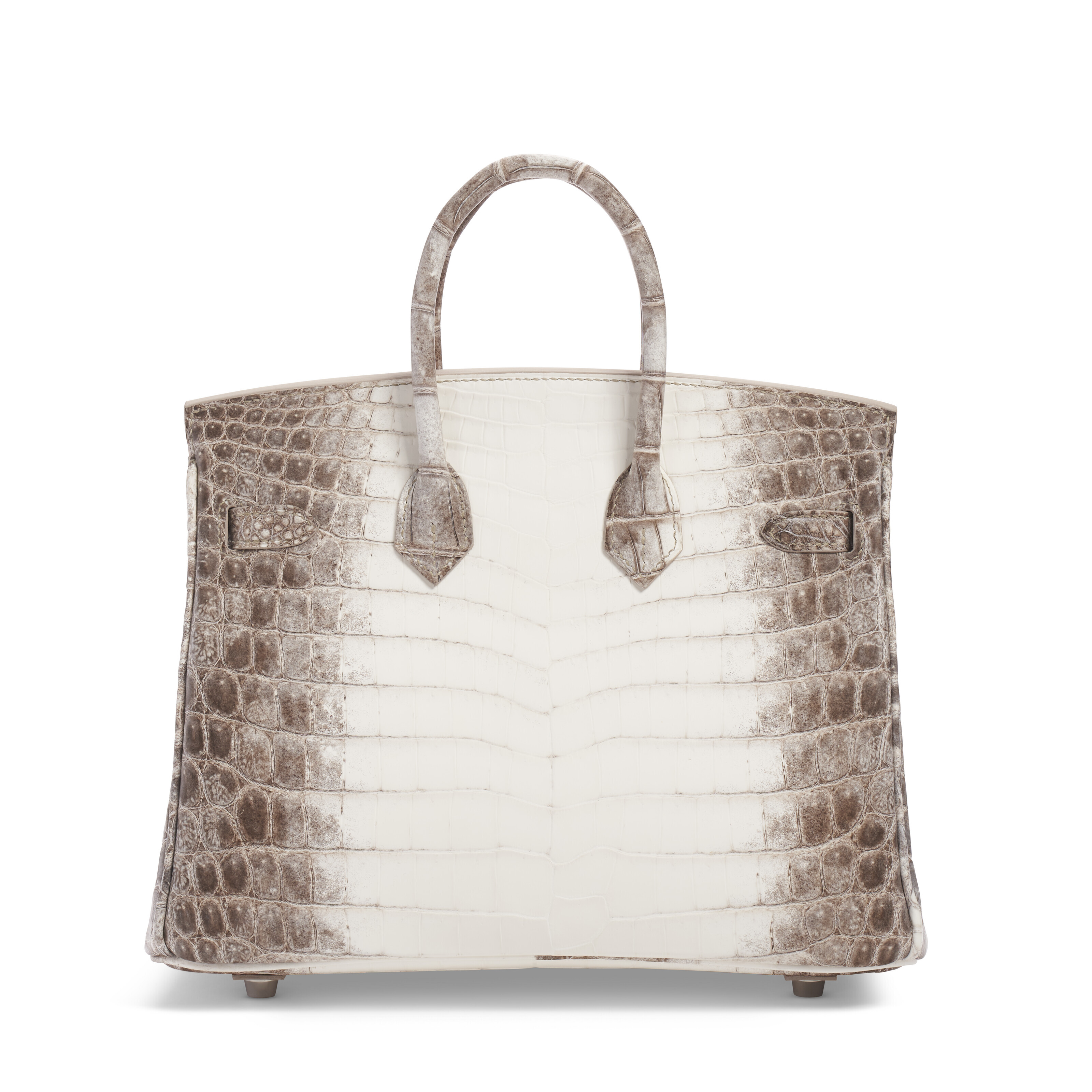 A RARE, MATTE WHITE HIMALAYA NILOTICUS CROCODILE BIRKIN 25 WITH - Main Image