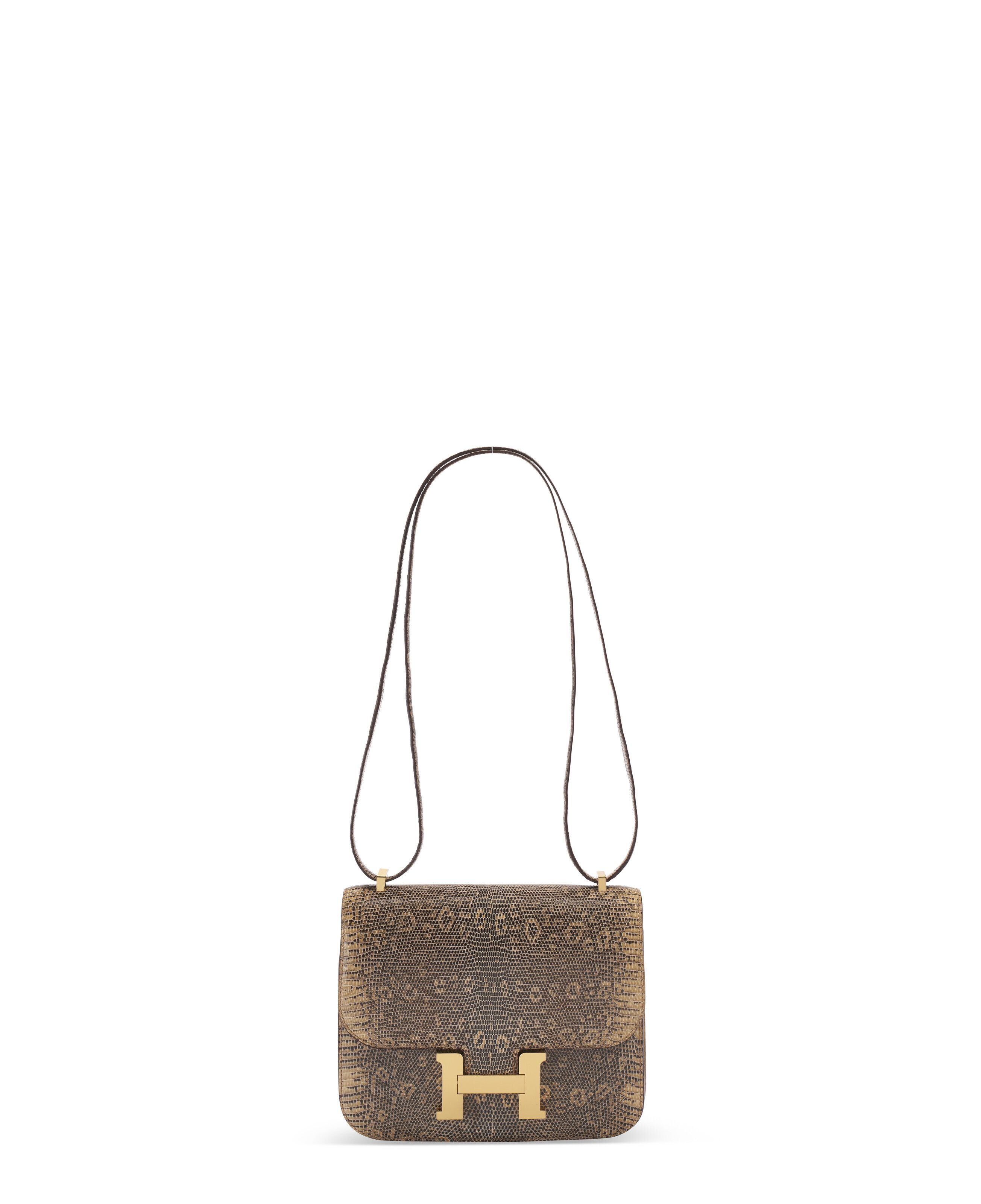 Hermes Constance 18 Desert Lizard Bag Palladium Hardware Limited