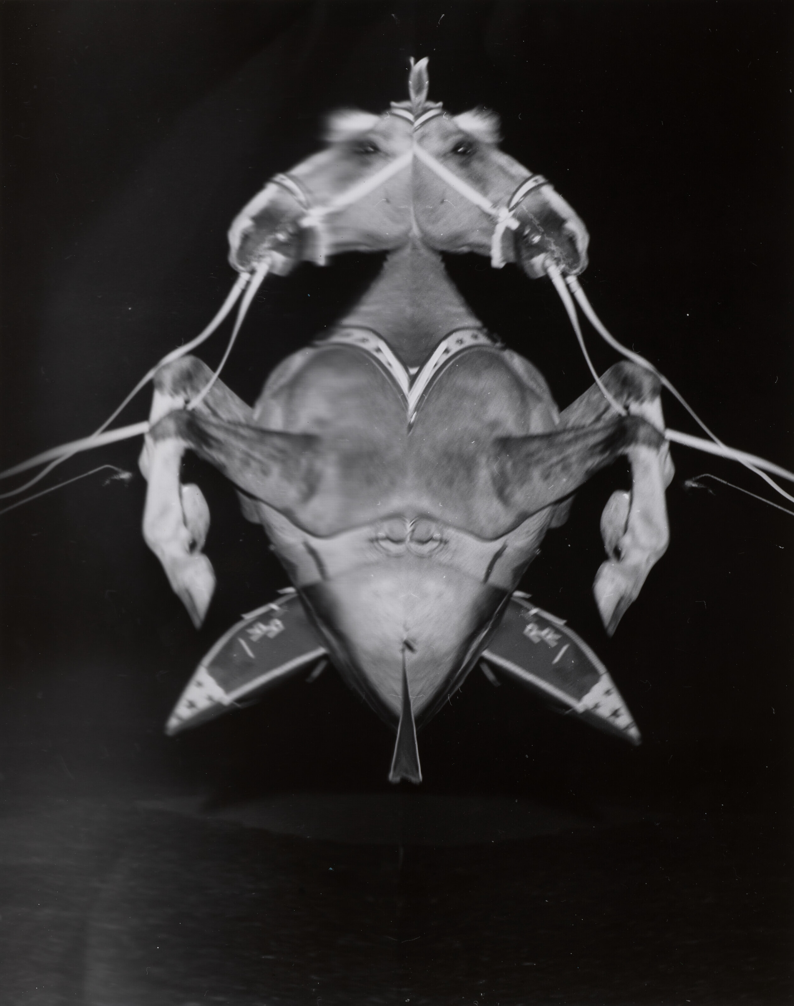 EDWARD WESTON (1886–1958), Anita [nude back], 51N, 1925