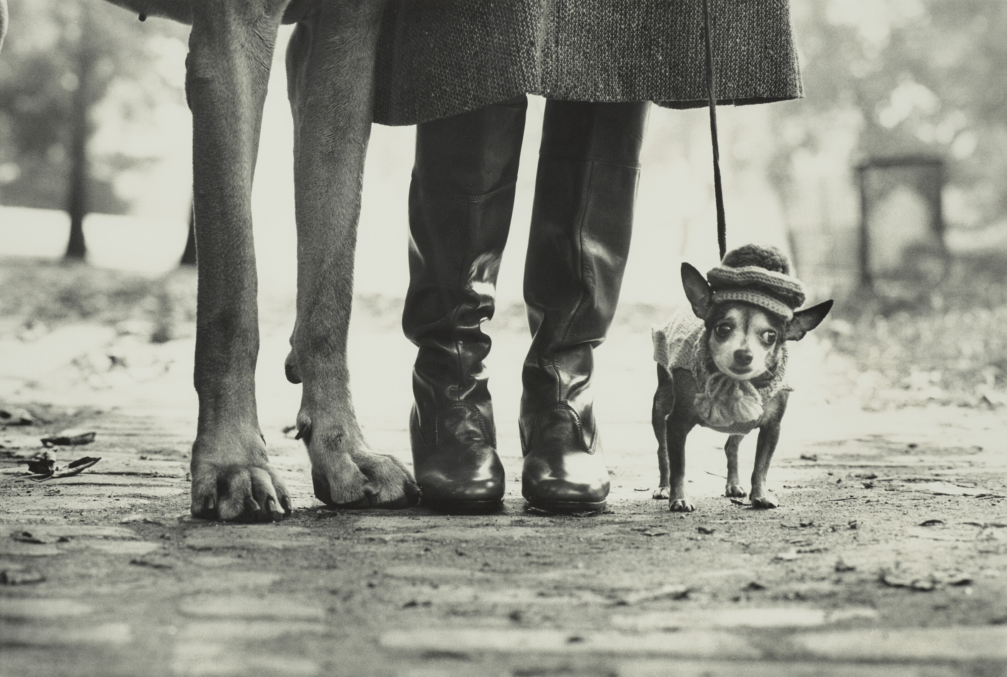 Catalog image of New York City (Dog Legs), 1974