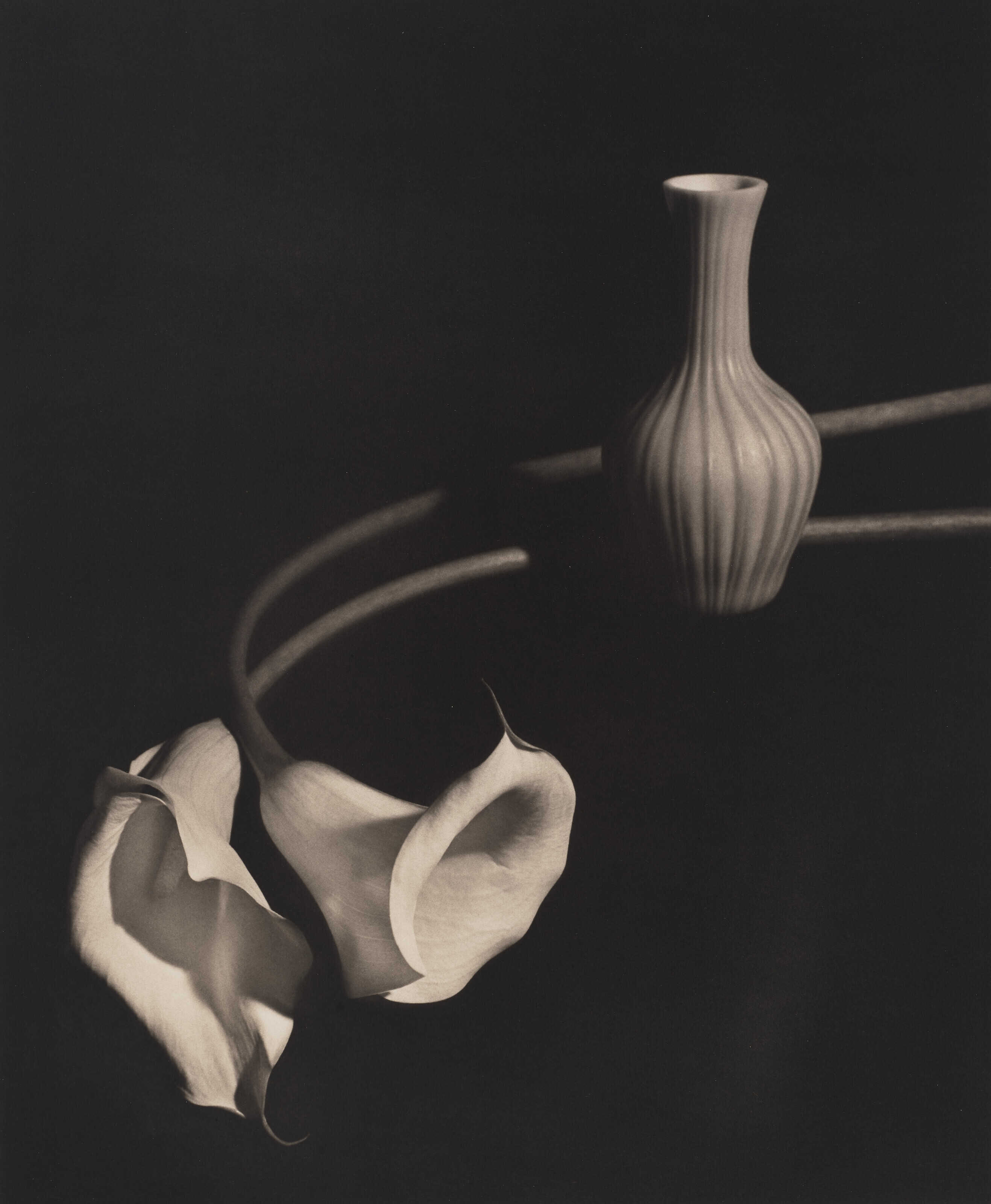 HORST P. HORST (1906–1999), Two Callas with Blue Vase, 1989 | Christie’s