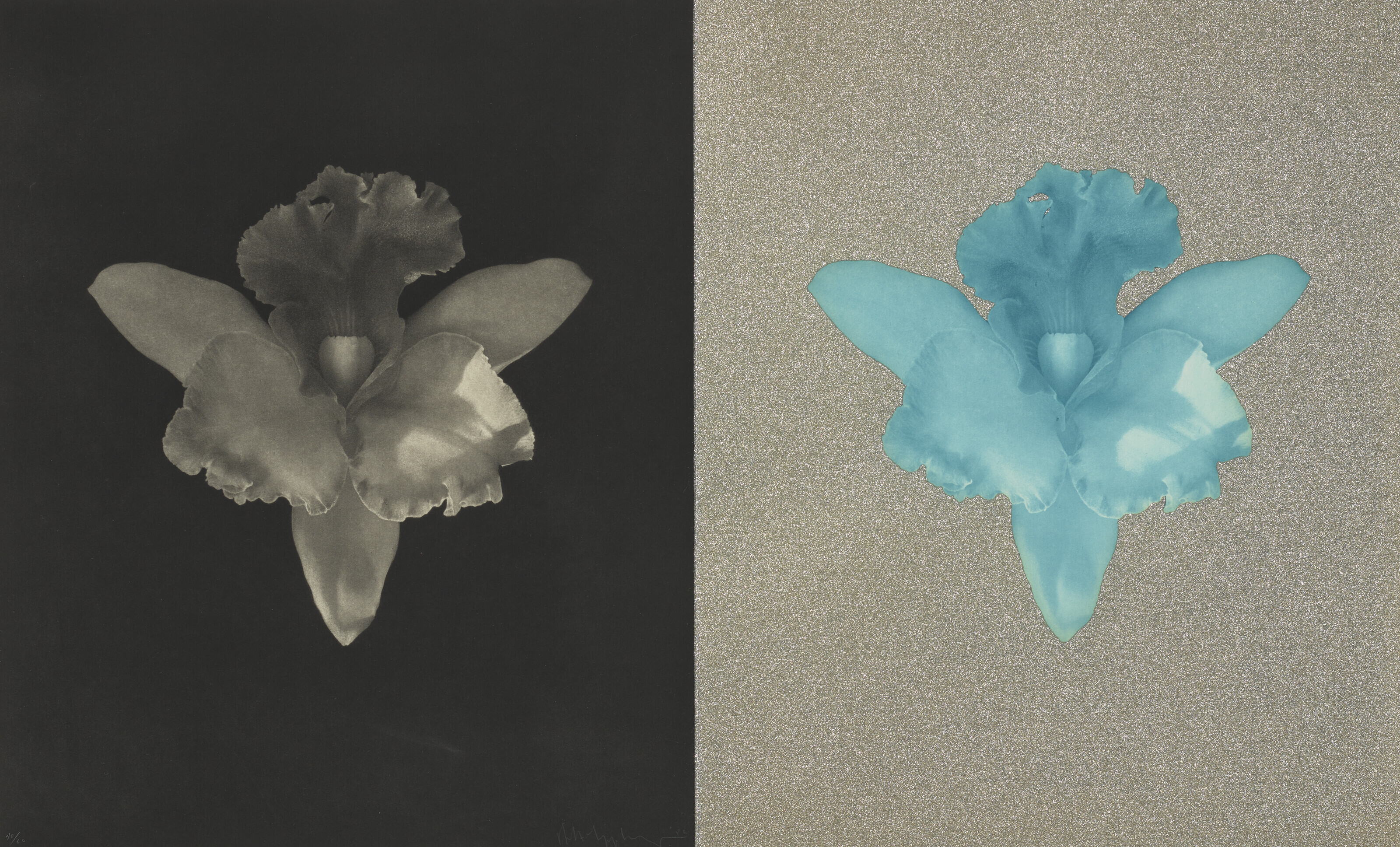 HORST P. HORST (1906–1999), Flowers with Ashtray, 1962 | Christie's
