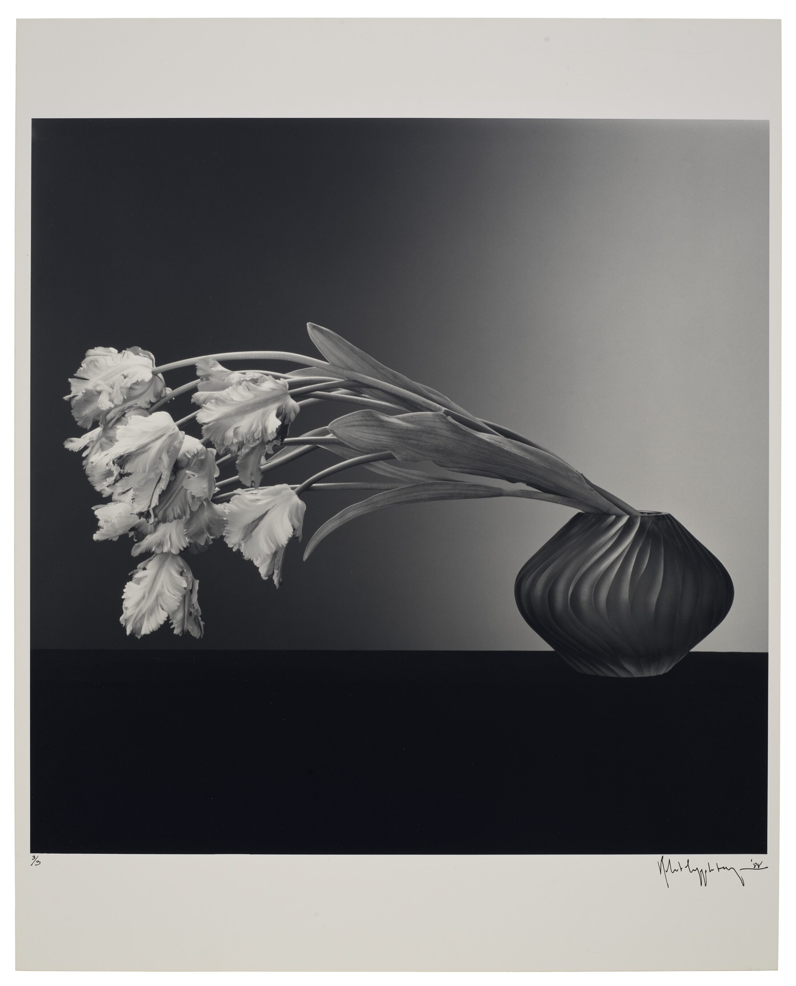 ROBERT MAPPLETHORPE (1946–1989), Parrot Tulips, 1988