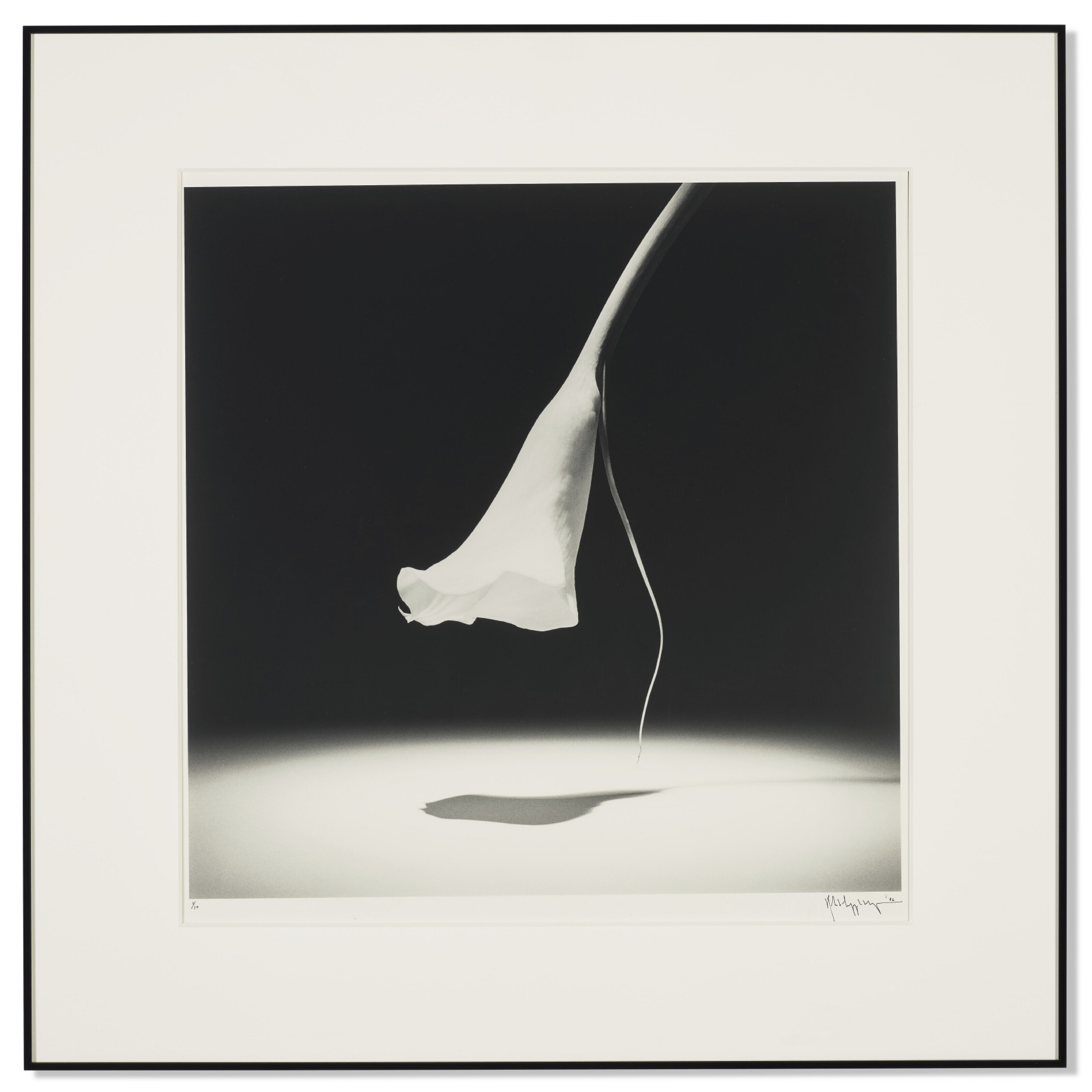 レアな一品　Robert Mapplethorpe Autoportrait Bonhams : Robert Mapplethorpe (1946-1989); Self-Portrait