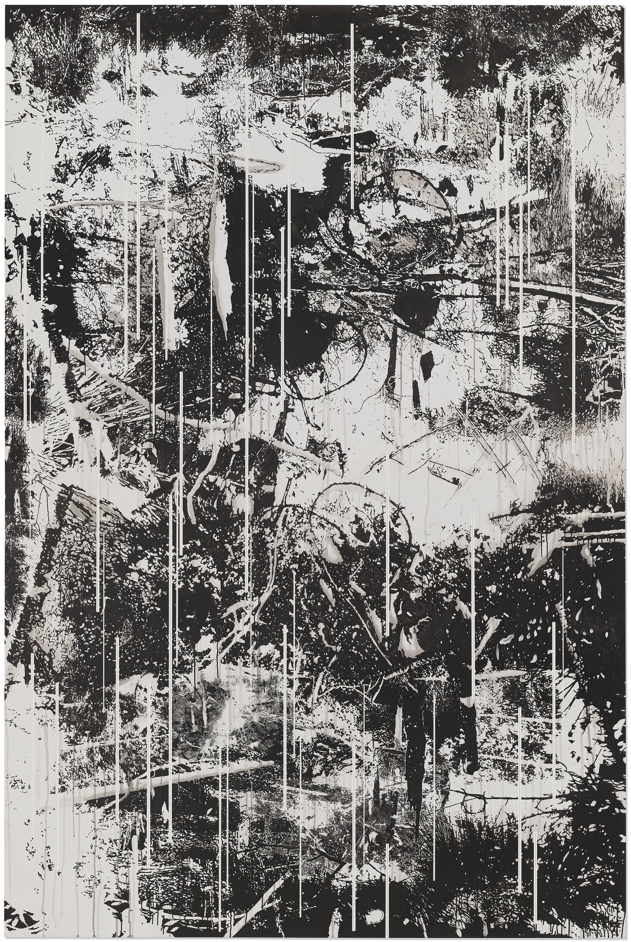 Catalog image of Vertical Swamp 5