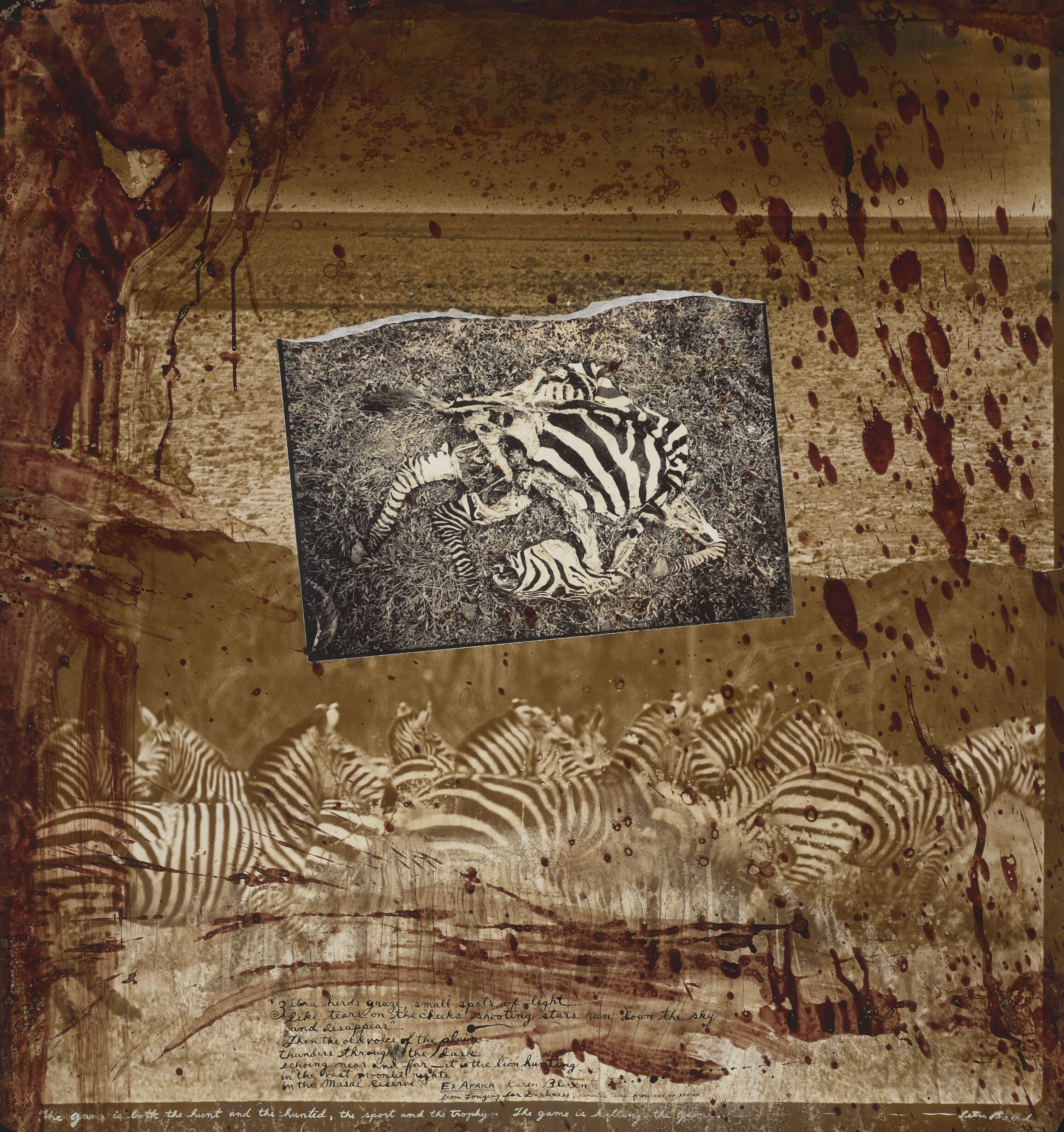 Catalog image of The game is killing the game (Zebra Collage), 1976