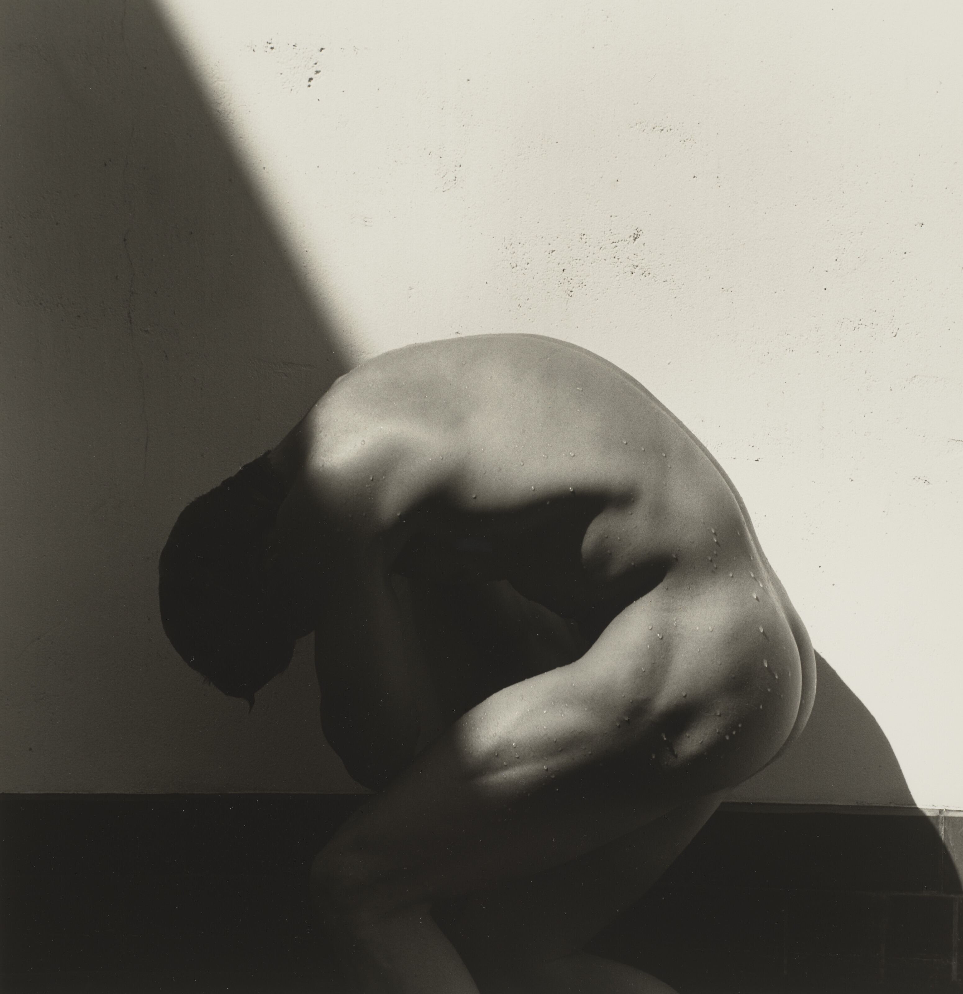 Catalog image of Curved Torso, Hollywood, 1989