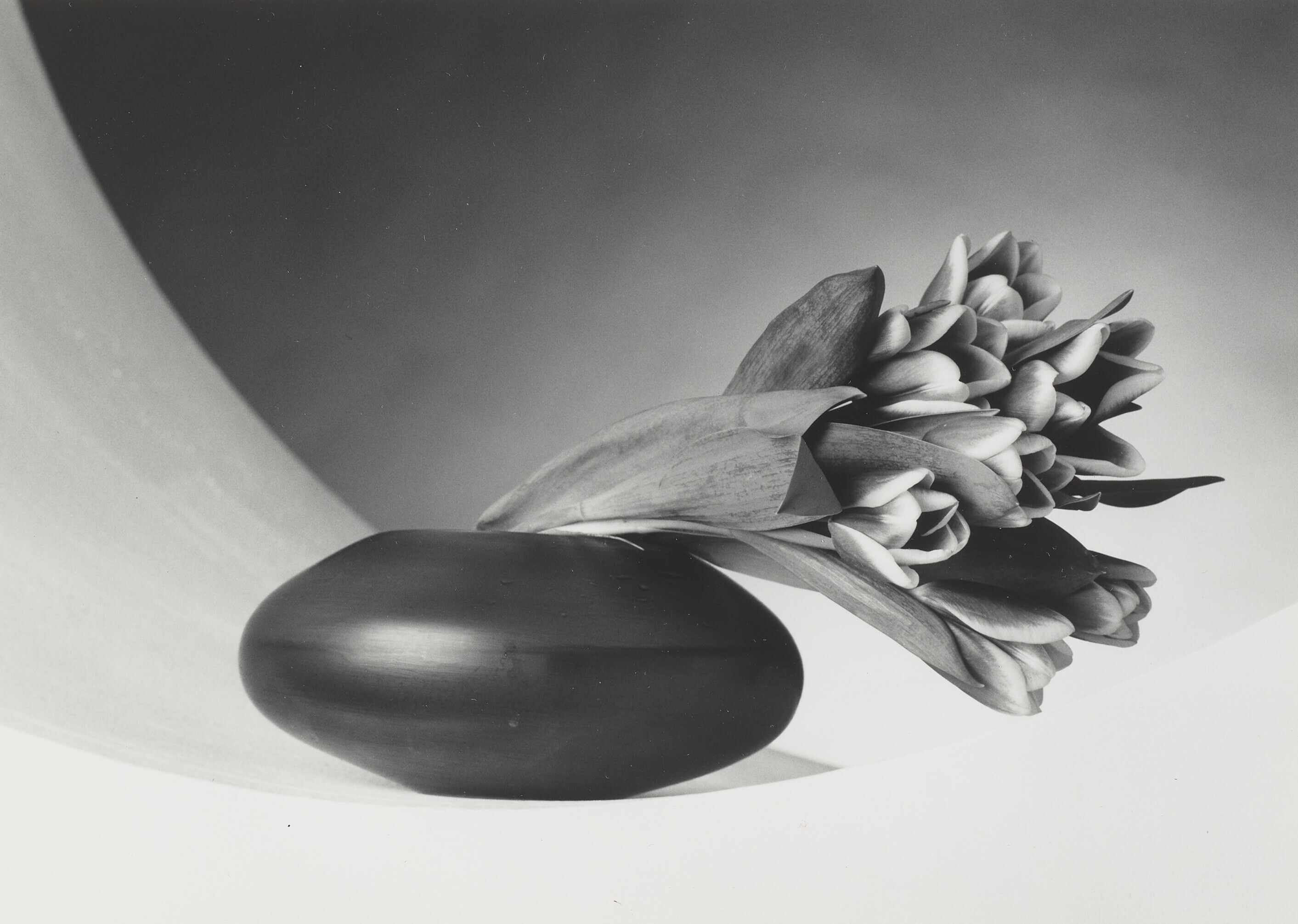 Catalog image of Tulips, (Just to Thank You), 1987