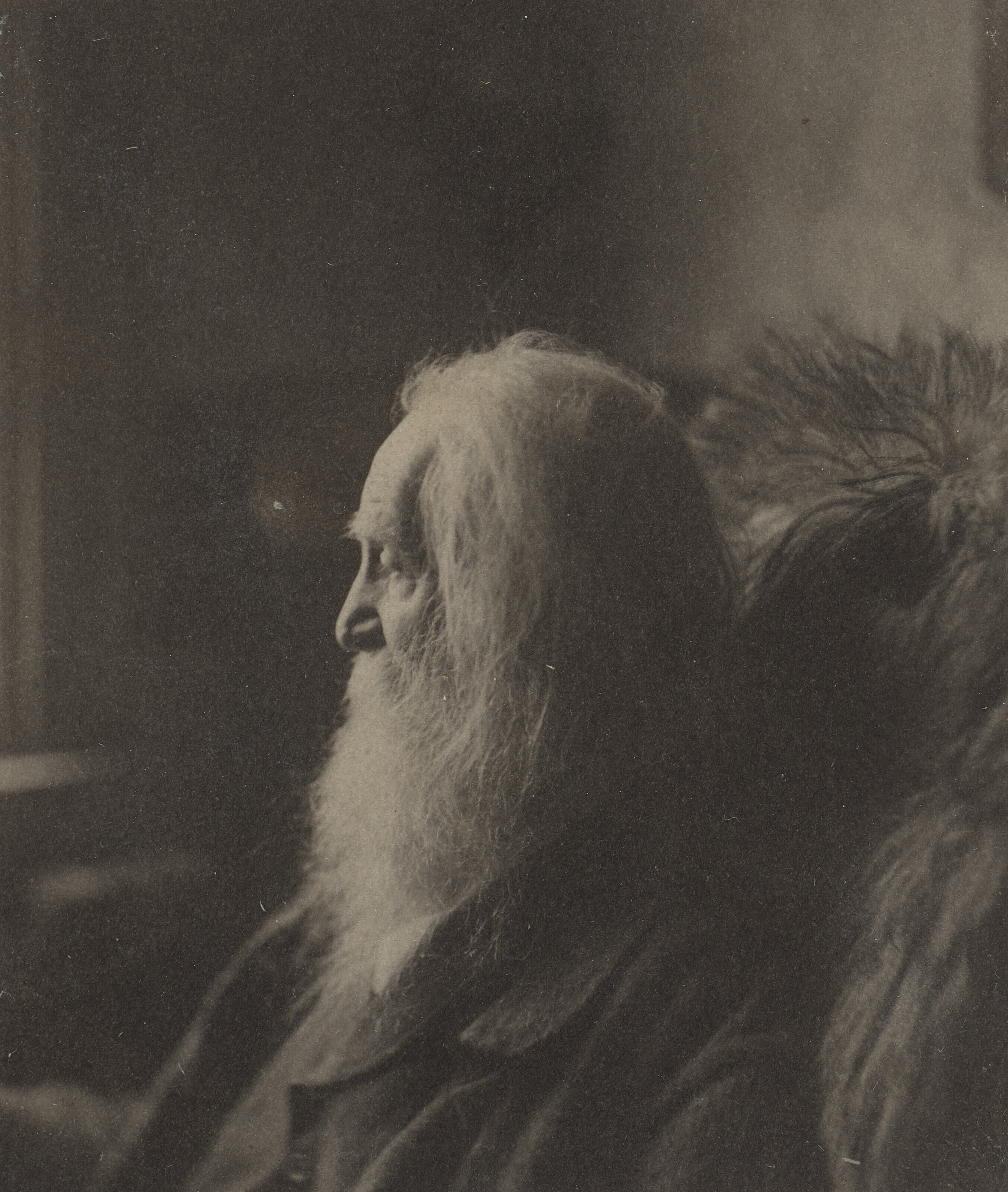 Portrait of Walt Whitman, 1884