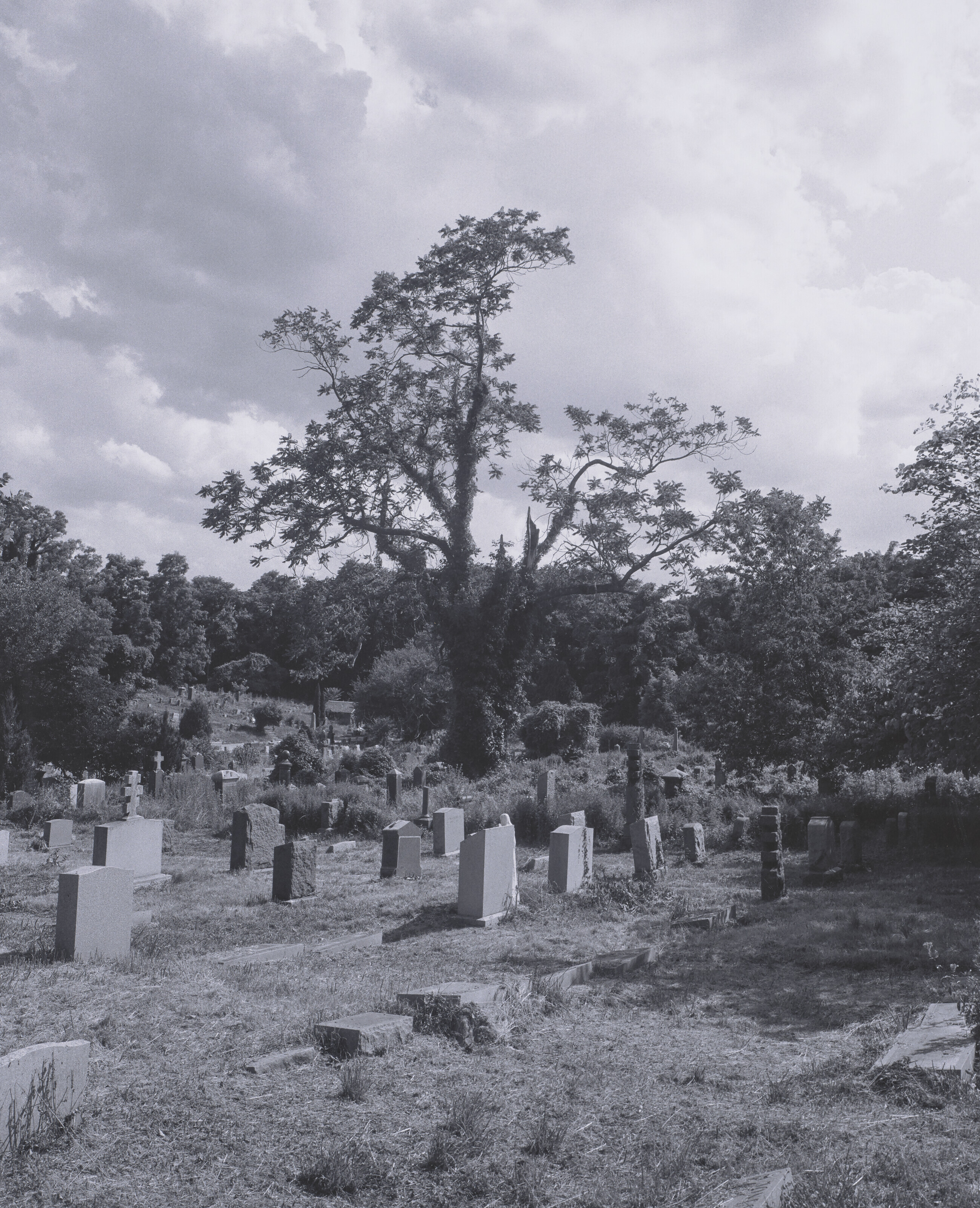 The Funeral
