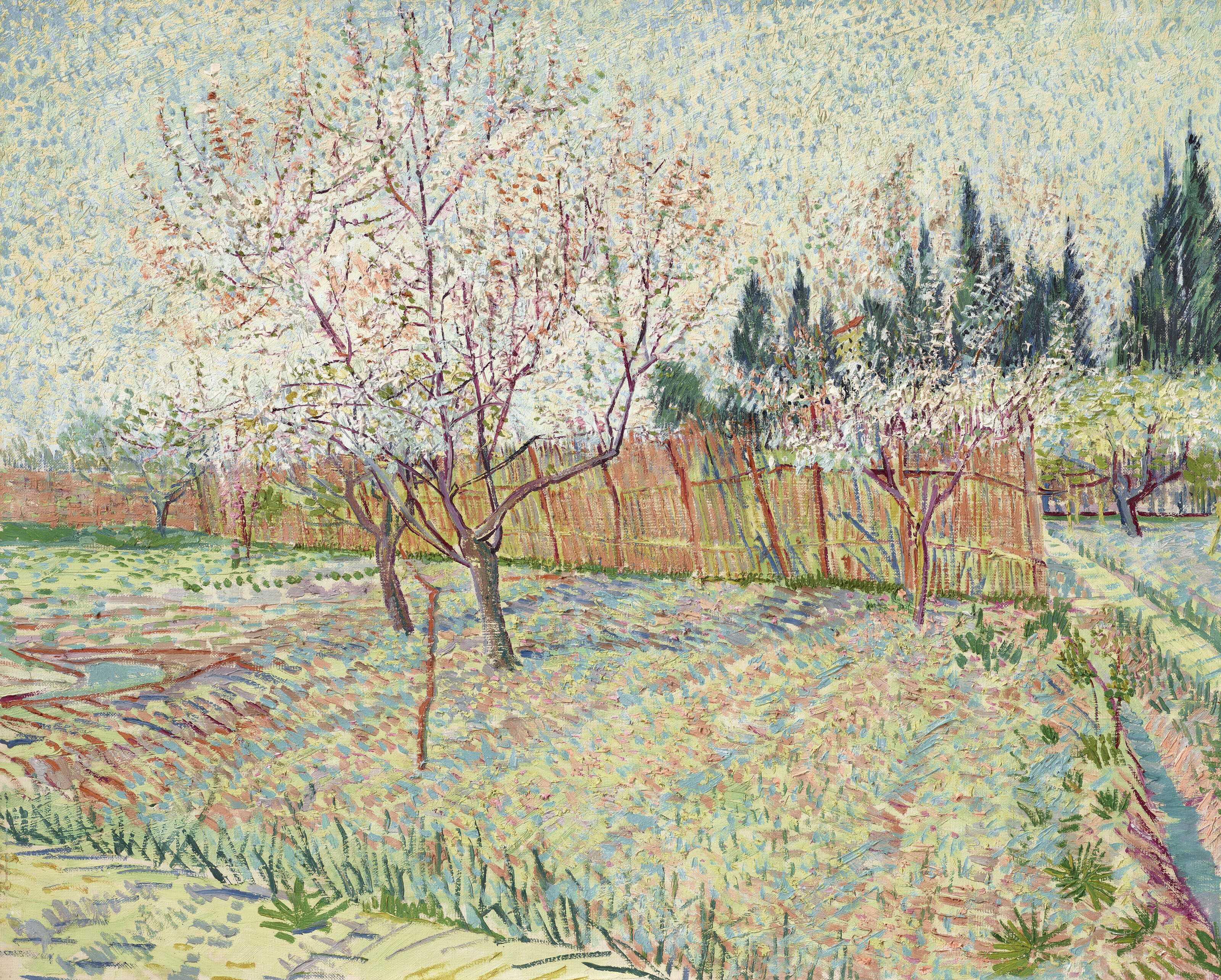 Vincent van Gogh (1853-1890), Verger avec cypr&egrave;s, 1888. Oil on canvas. 25&frac34; x 31⅞ in (65.2 x 80.2 cm). Sold for $117,180,000 in Visionary: The Paul G. Allen Collection Part I on 9 November 2022 at Christie&rsquo;s in New York